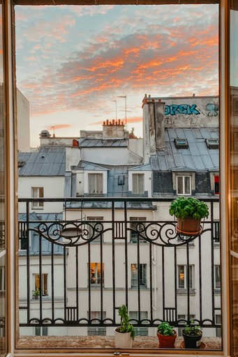 view from an appartment in Paris illustrating renting in Paris
