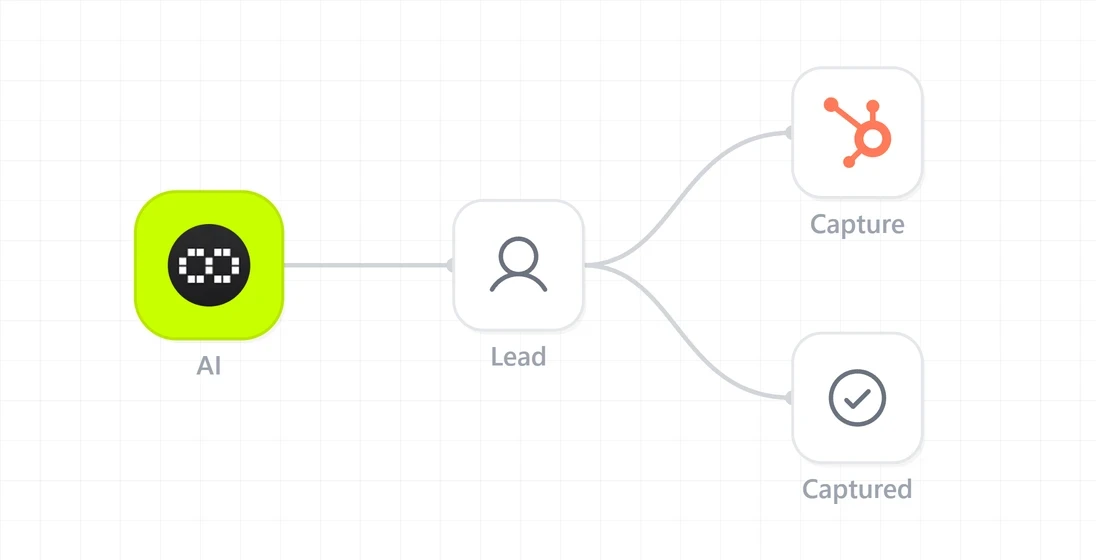 Lead capture agent capturing contact details