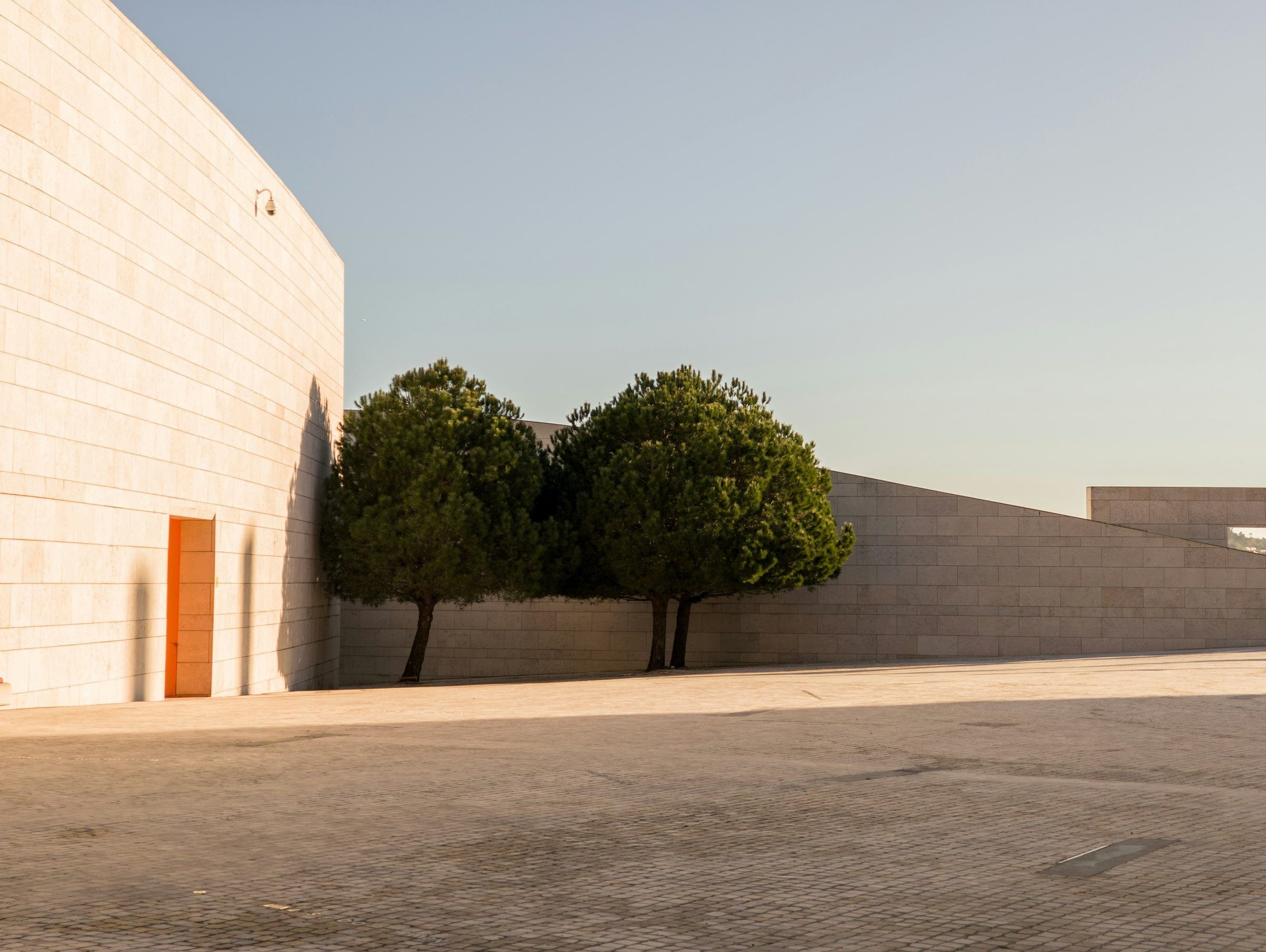 Pale limestone wall of a cultural centre with two umbrella pines and a terracotta door in late afternoon sun