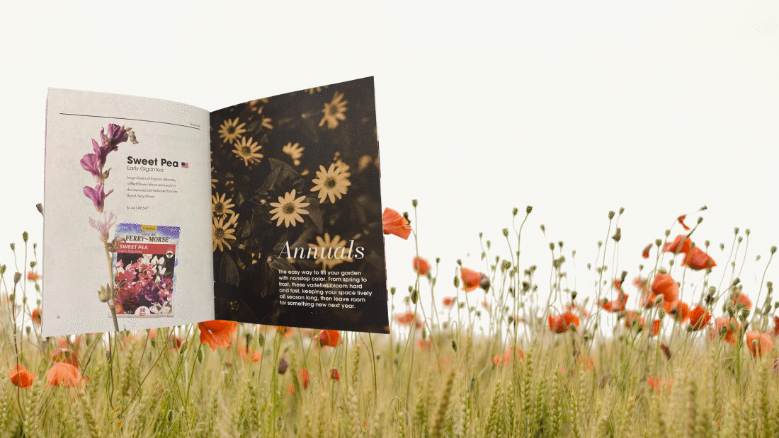 GIF of levitating catalog that says "fun fact: a lot of people were harmed in the making of catalog" that initially exported at one gigabyte. true story.