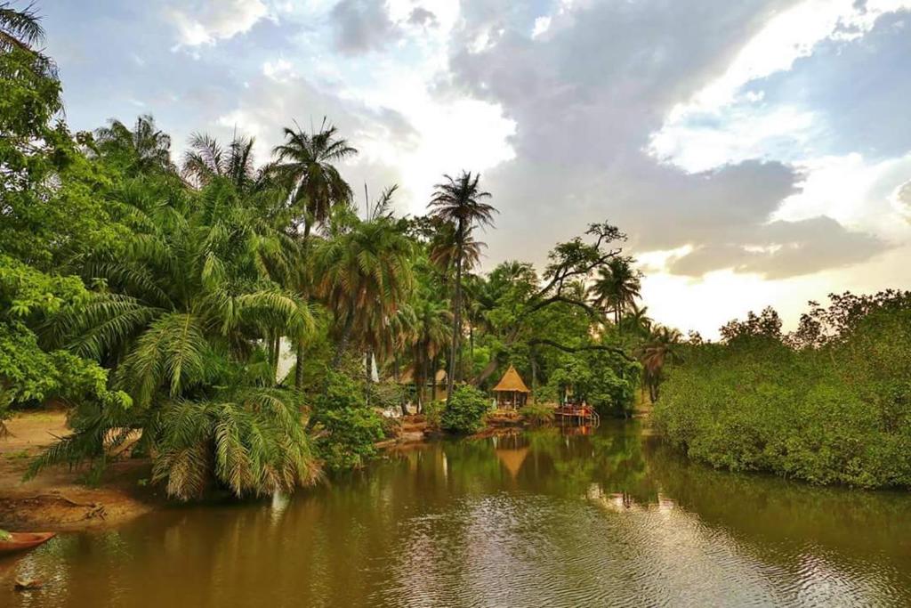 Bintan Creek Gambia