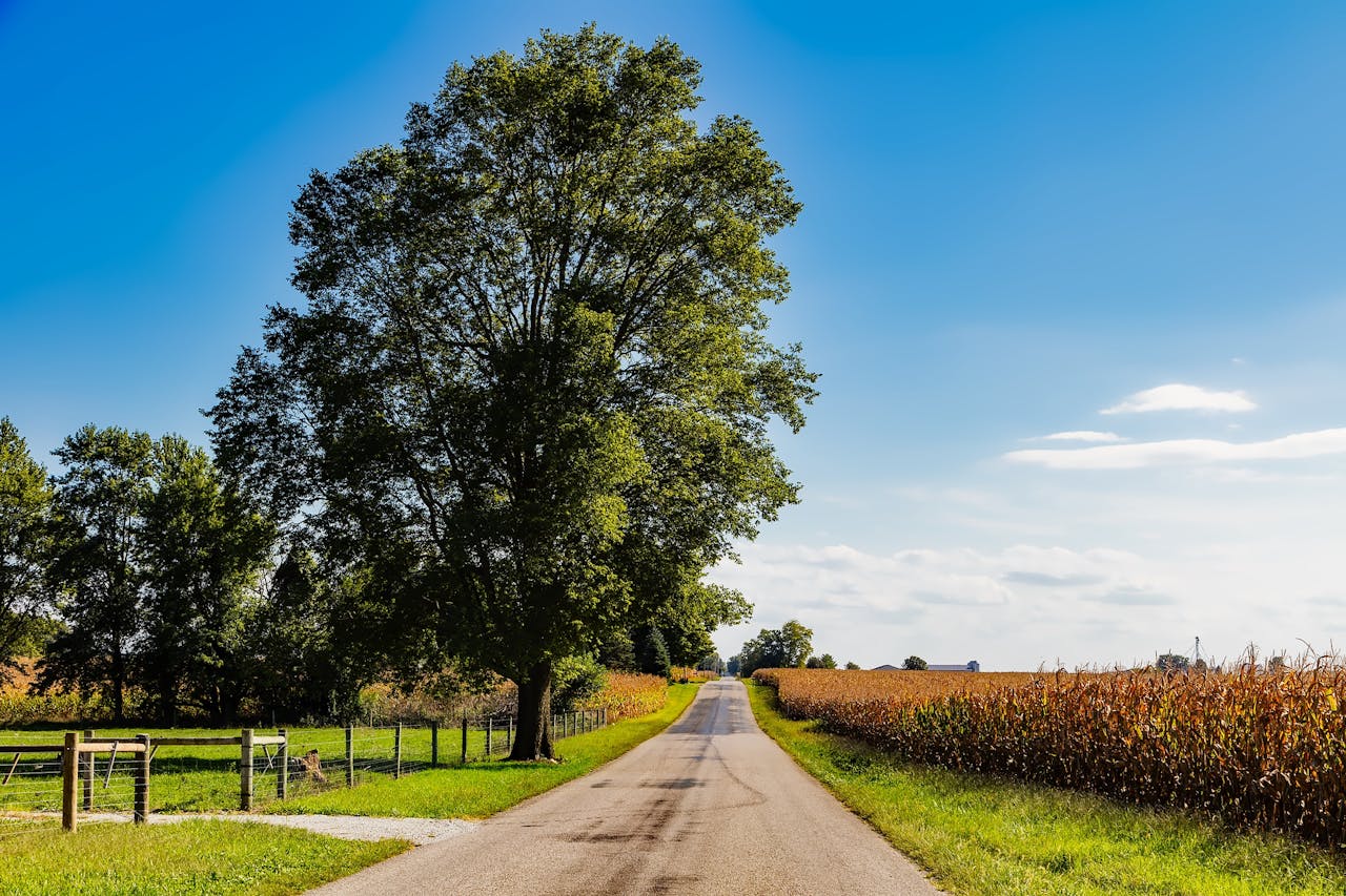 Farmland Indiana