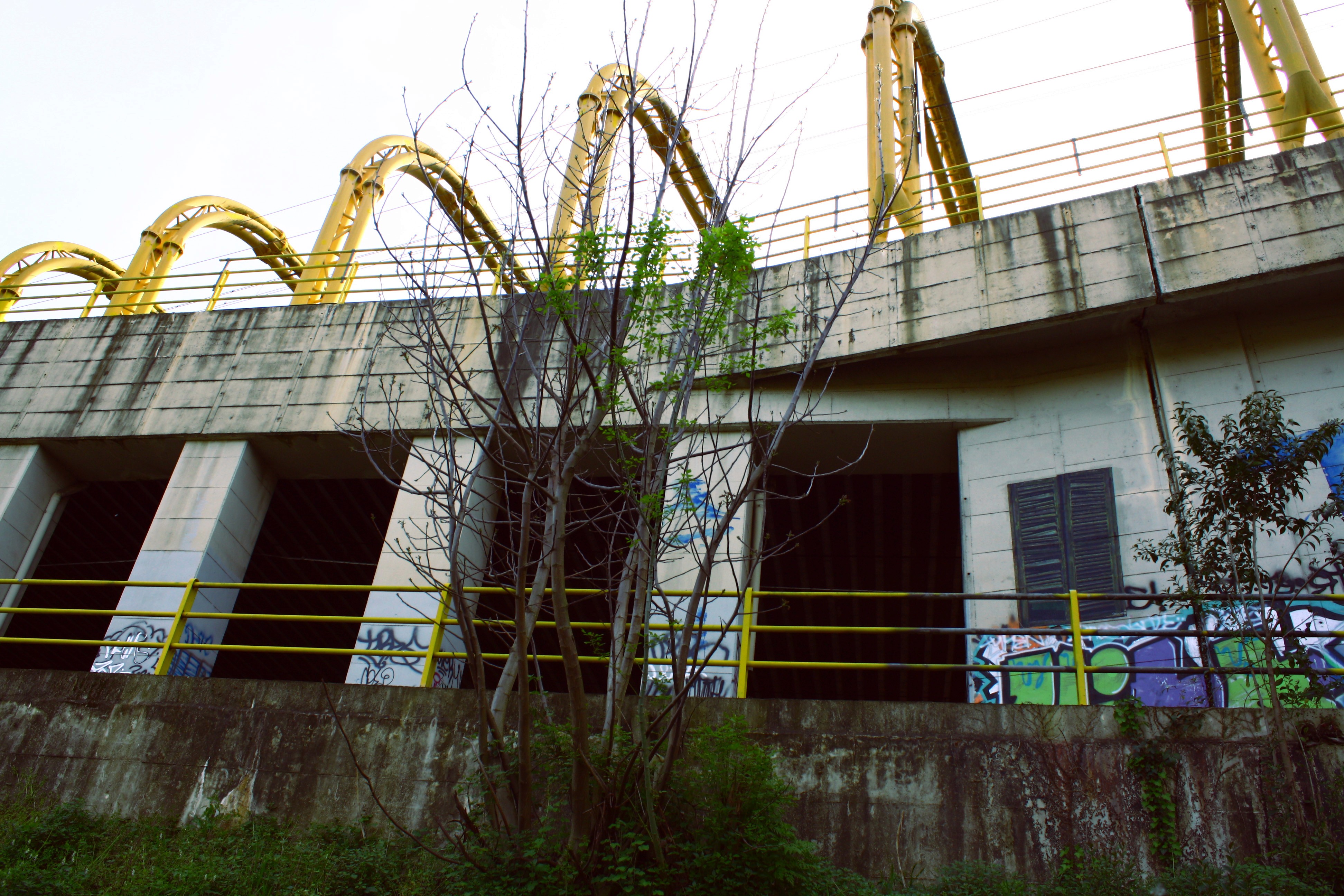 Sbagliato's first collage on wall ever