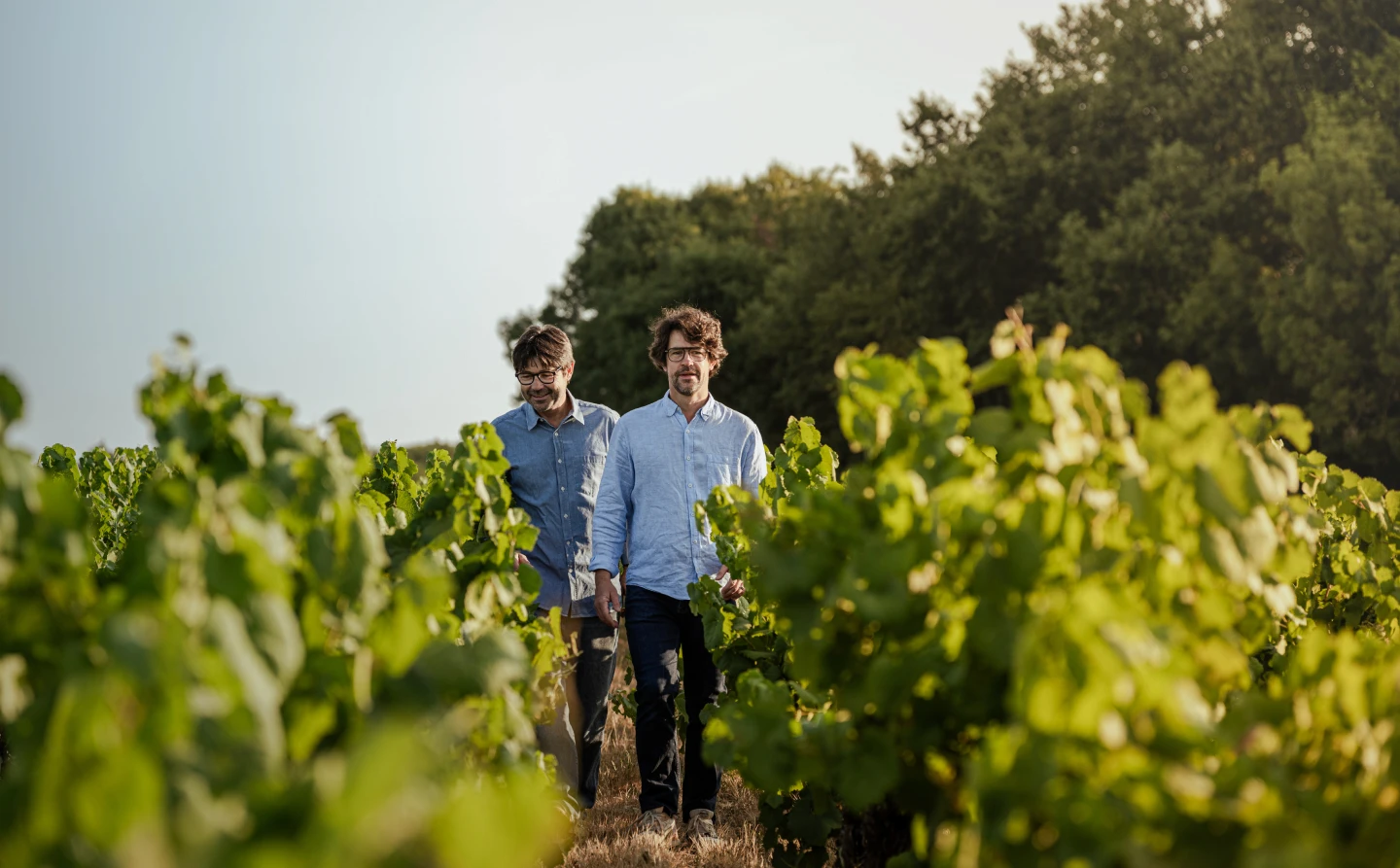 Les vignerons du domaine marchant dans les vignes