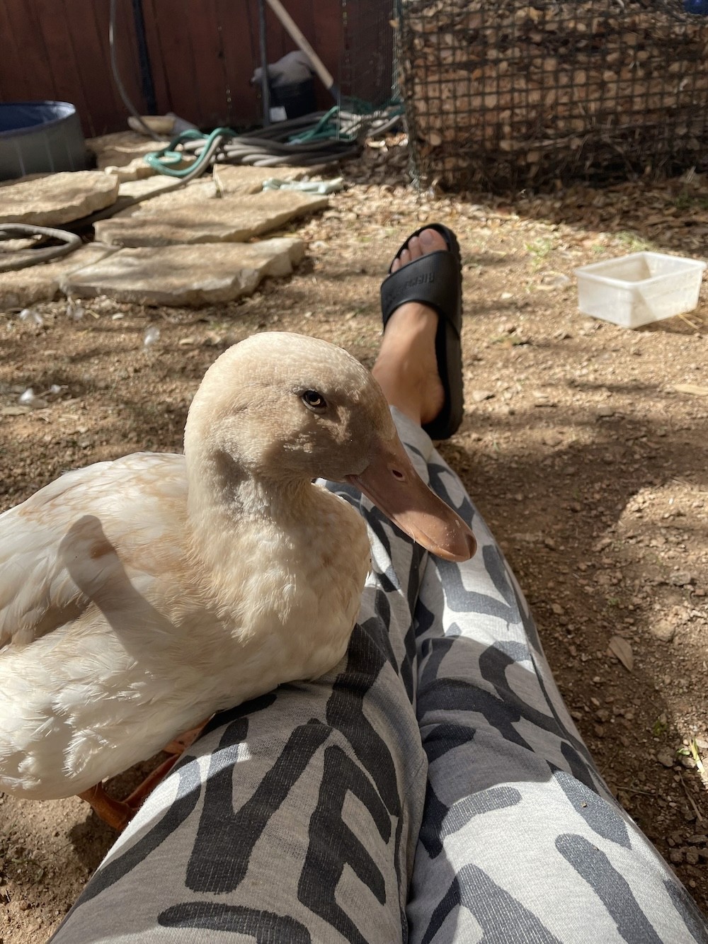 person writing on white paper