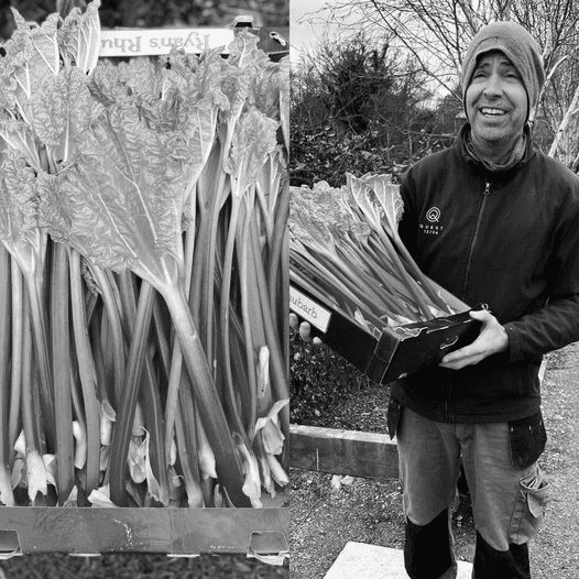 Owner of Ryan's Rhubarb laughing while supplying their goods to As One Restaurant Dubliln