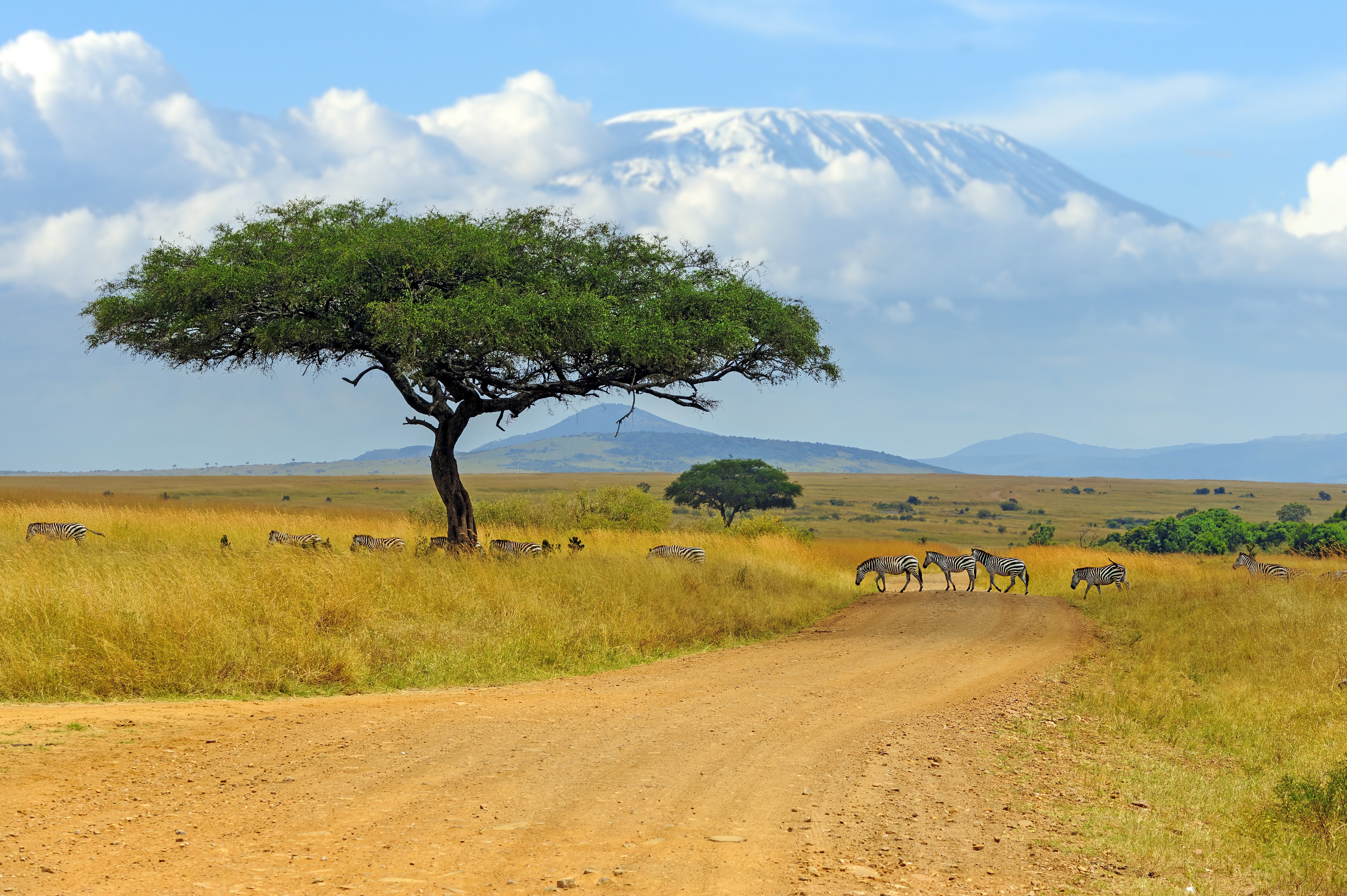 Kilimanjaro