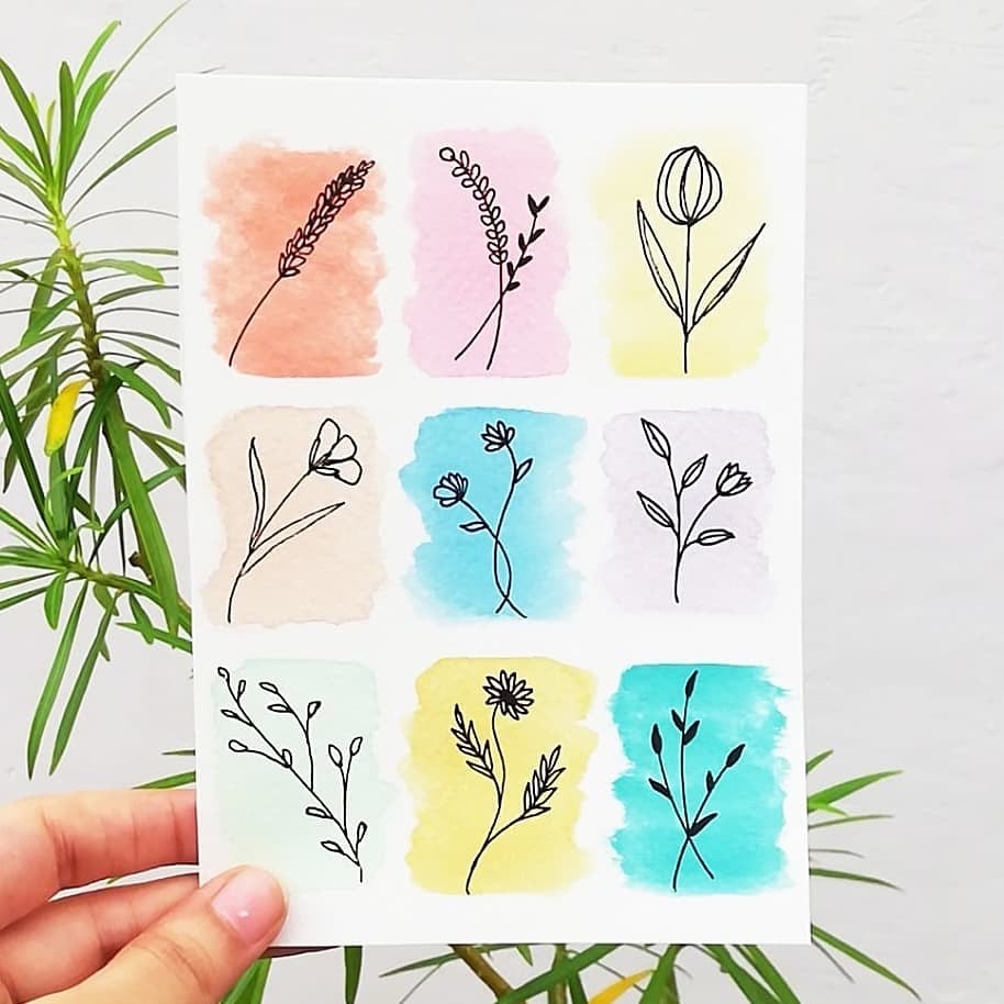 picture of plants and greenery