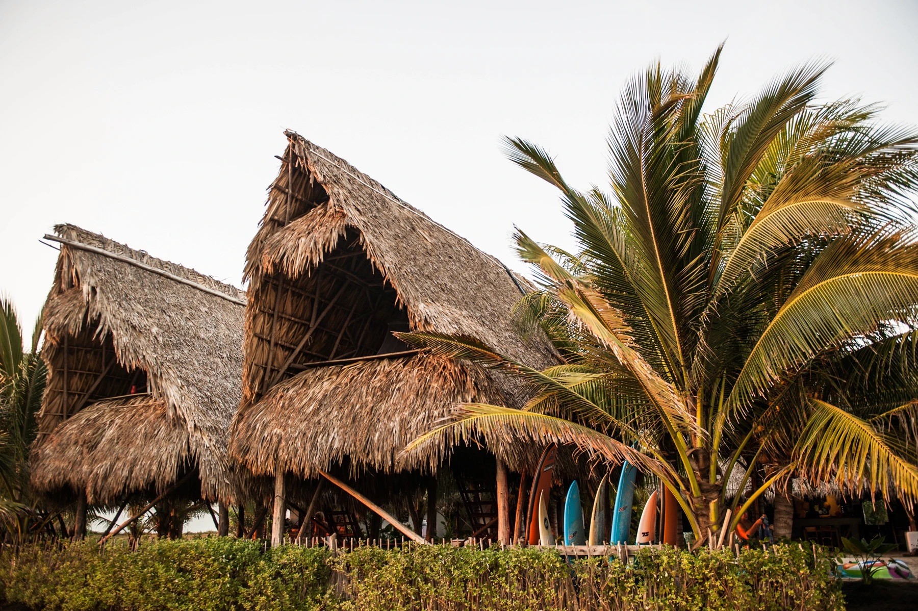 Altos búngalos con techo de palma en forma de A se encuentran detrás de palmeras y una fila de tablas de surf.