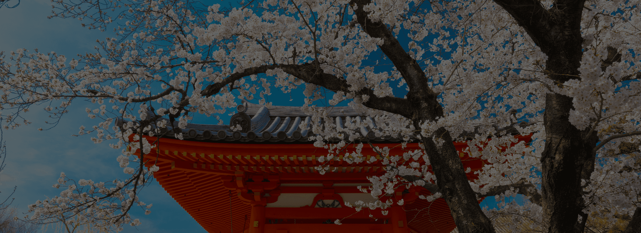 Real Estate House Image Background