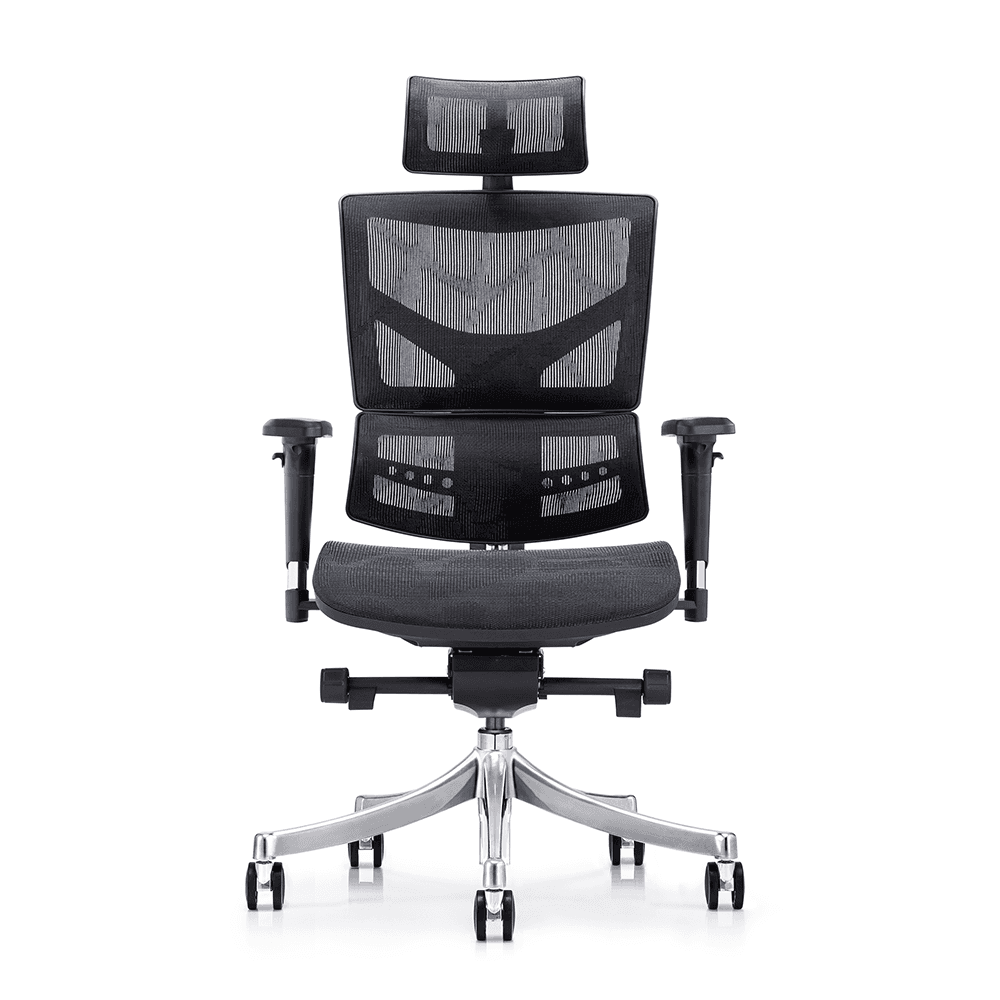 High-back ergonomic office chair featuring breathable black mesh, adjustable lumbar support, and a polished aluminum swivel base with casters.