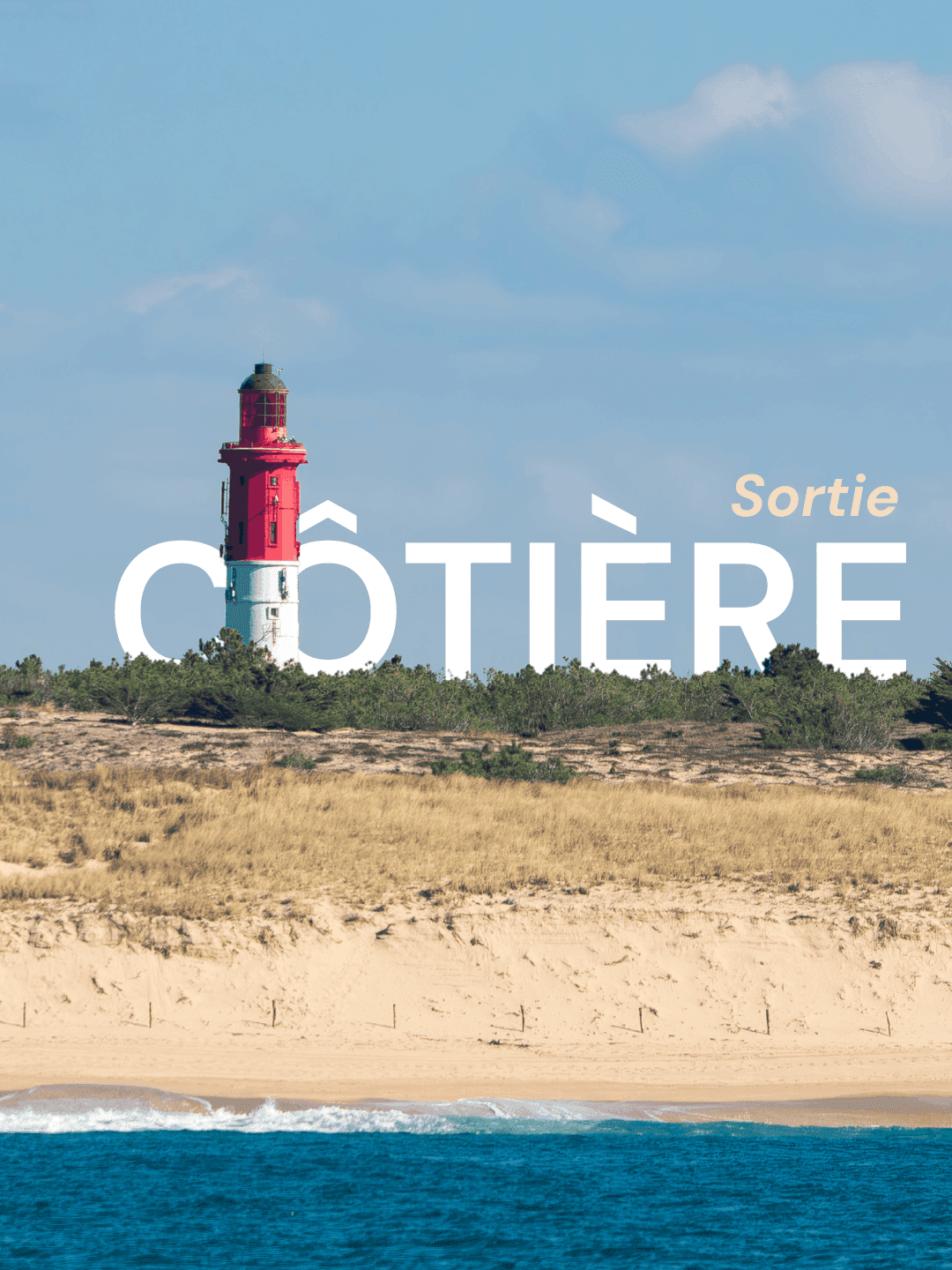 sortie côtière avec dauphins devant la dune du pilat