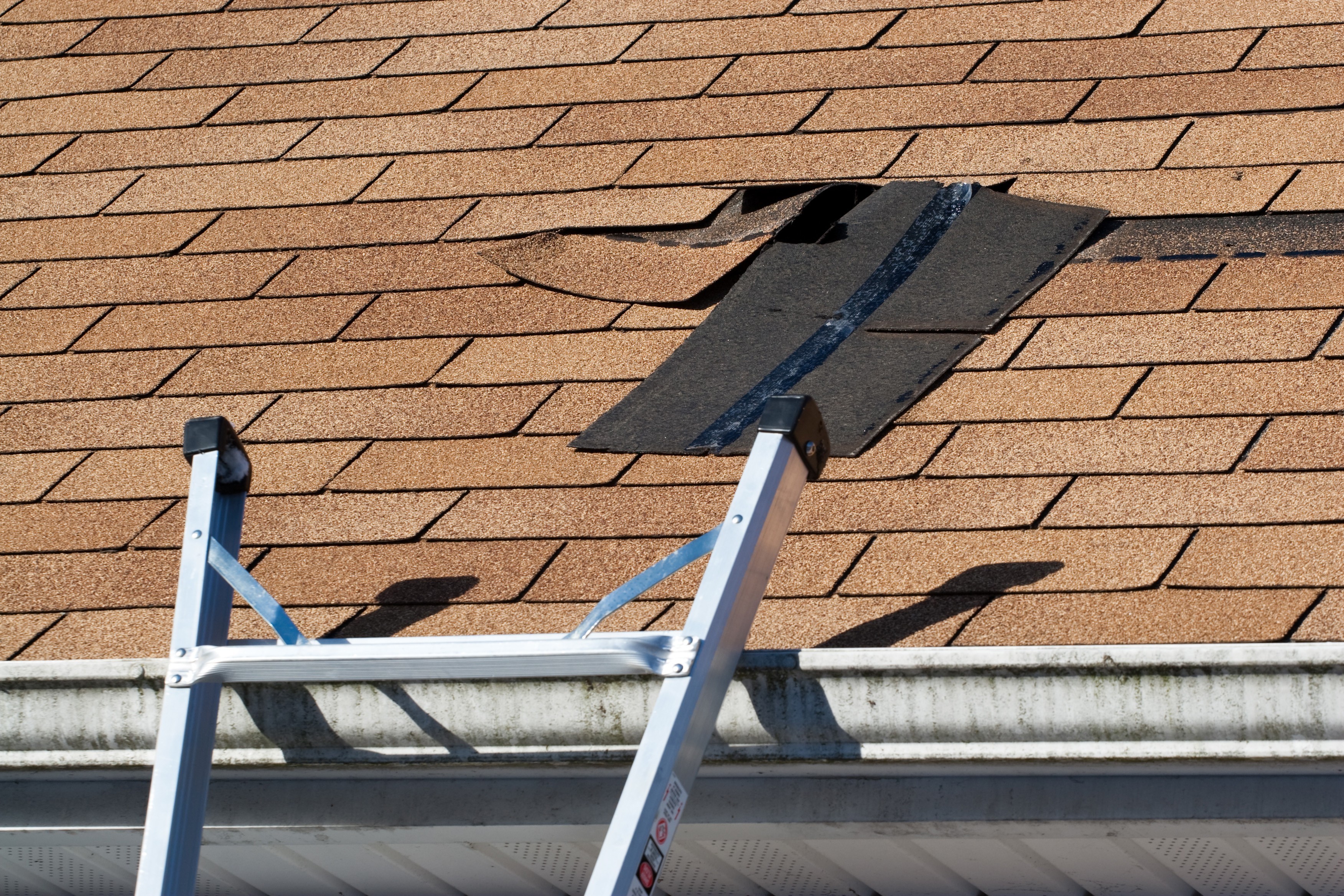 Roof repair in St Louis Missouri with missing shingles and ladder setup