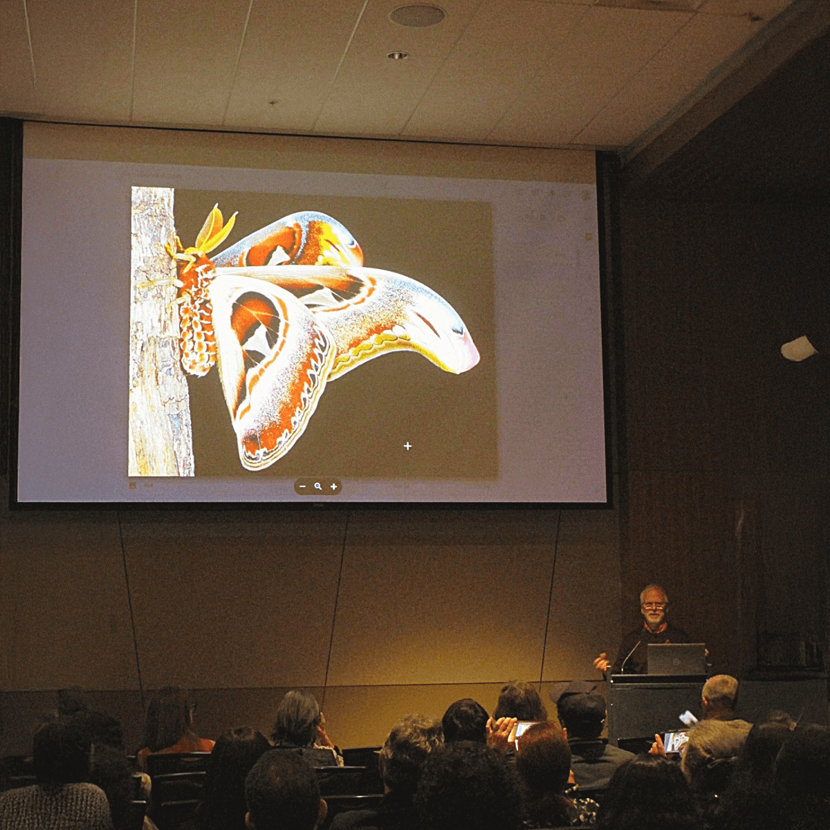 Kevin Cosley’s painting Sudden Growth, 75x75 inches, oil on canvas, 2024. On view at the Meydenbauer Center as part of the exhibit Somewhere I’ve Never Been Before.