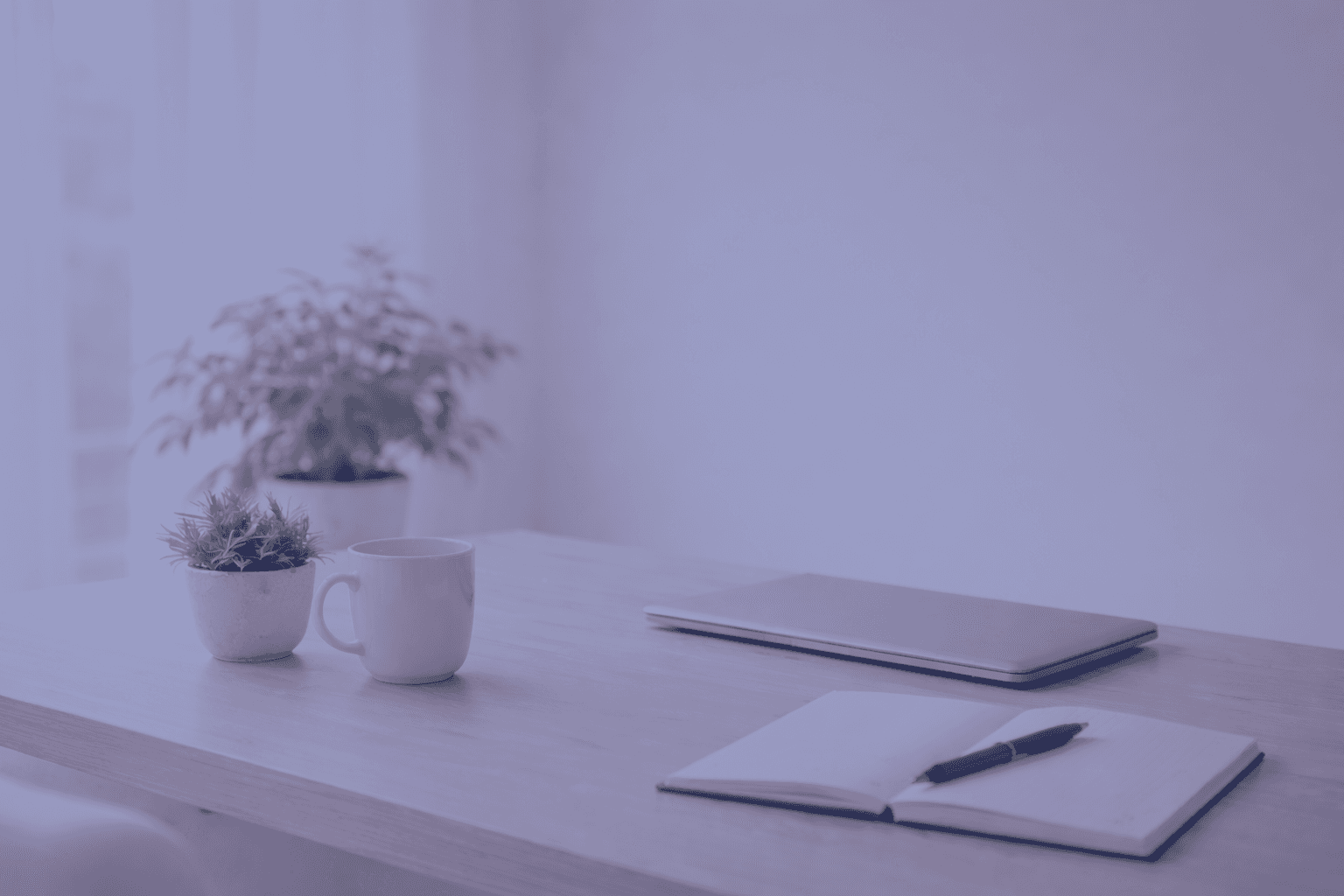 Ready to Transform Your Business Image