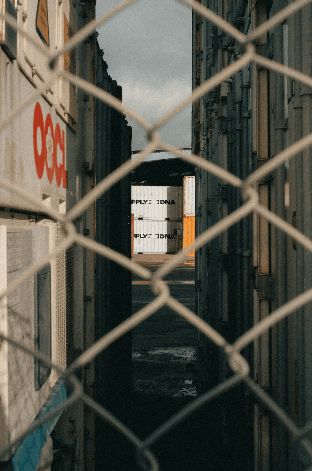 Contact Supply DNA for all your construction sourcing needs