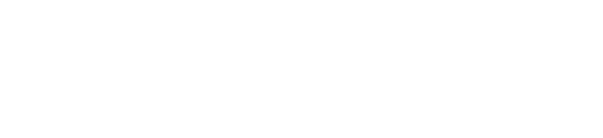 ECHO Logo