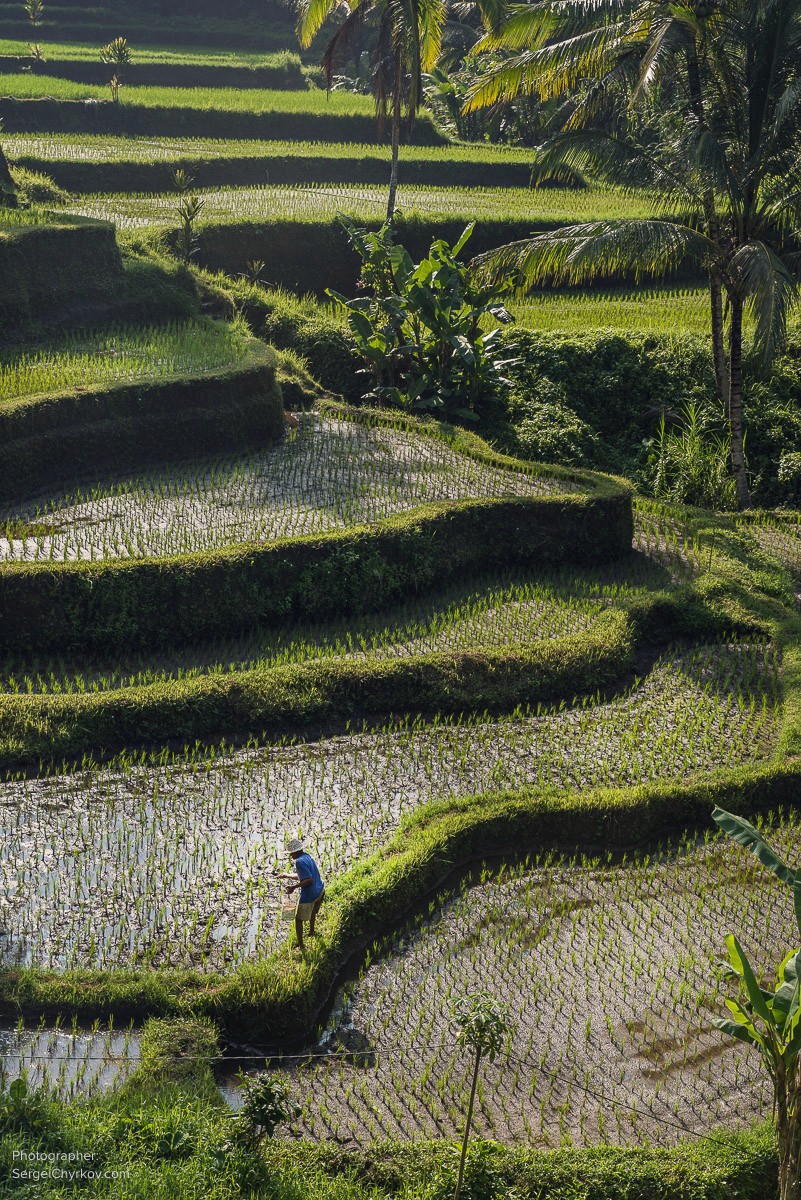 Bali by Sergei Chyrkov. Бали, фотограф Сергей Чирков