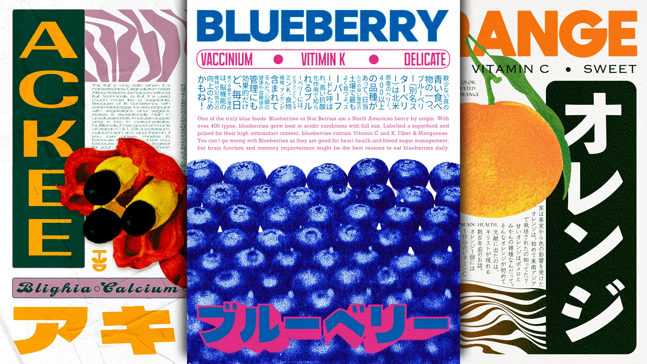 Fruit Series posters: Ackee, Blueberry, and Orange, illustrated in bold color with bilingual English and Japanese typography
