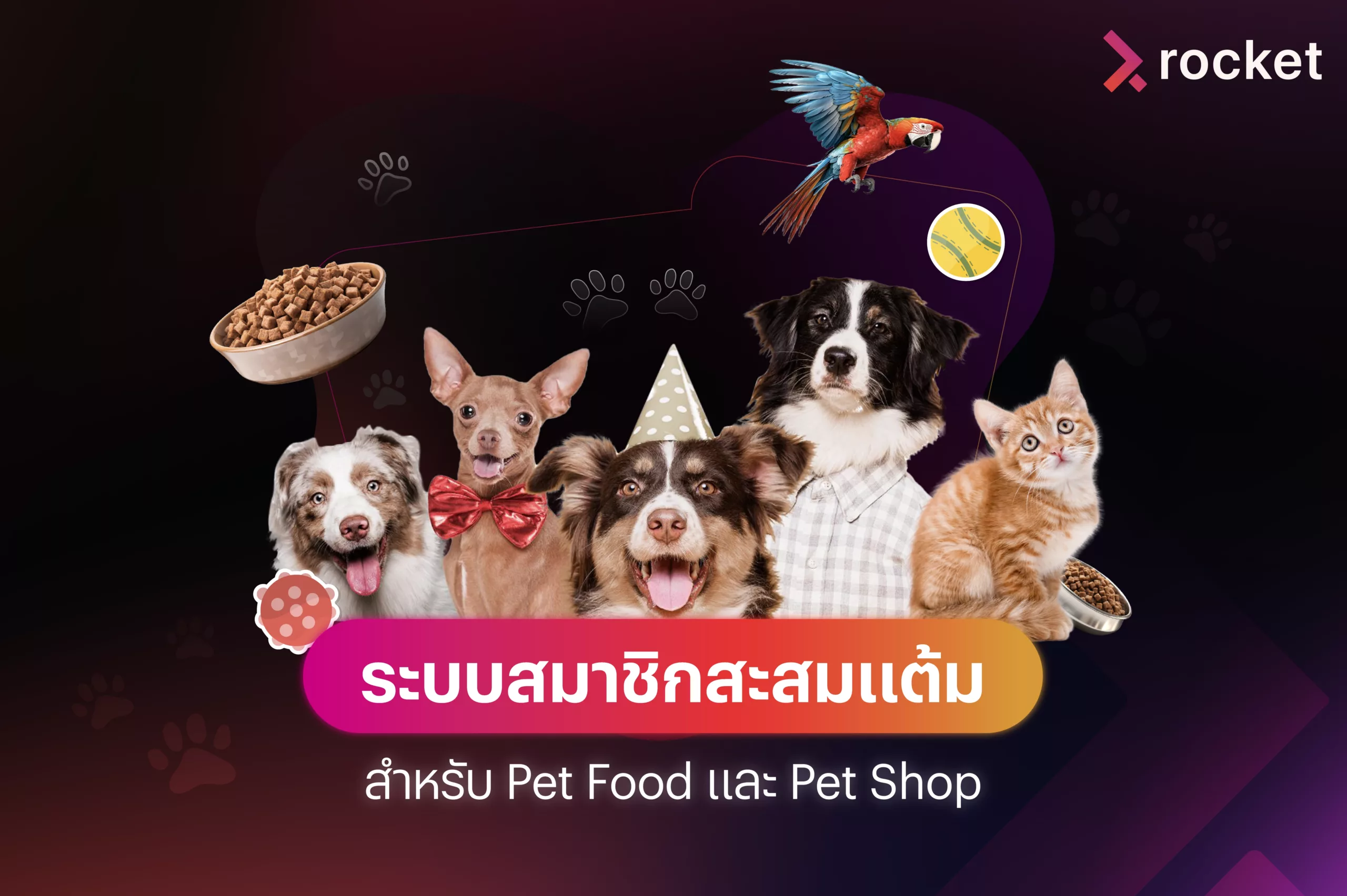 pet shop crm
