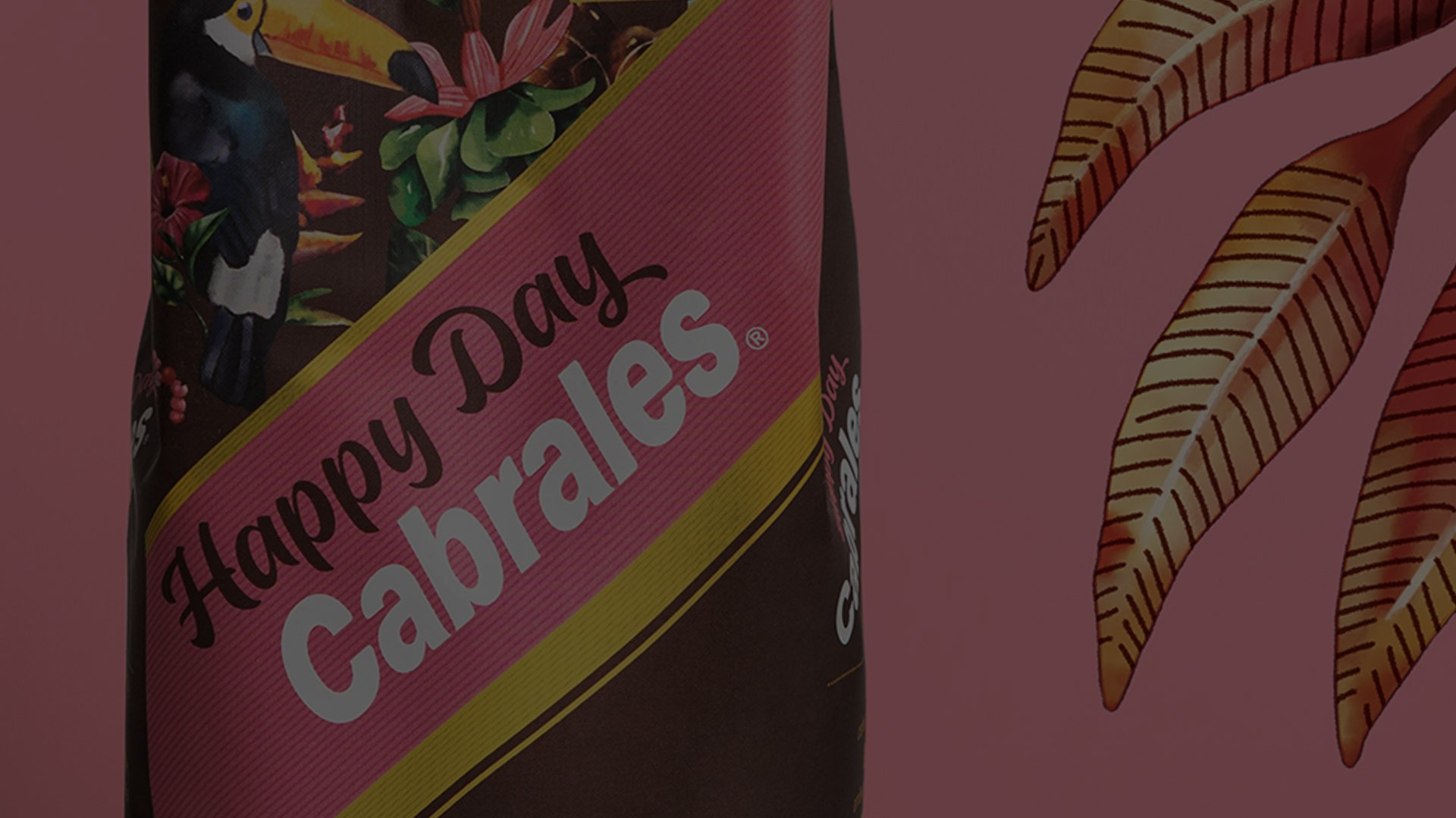 Close-up of a product package labeled "Happy Day Cabrales." It features colorful tropical imagery with leaves and a toucan, set against a brown background.