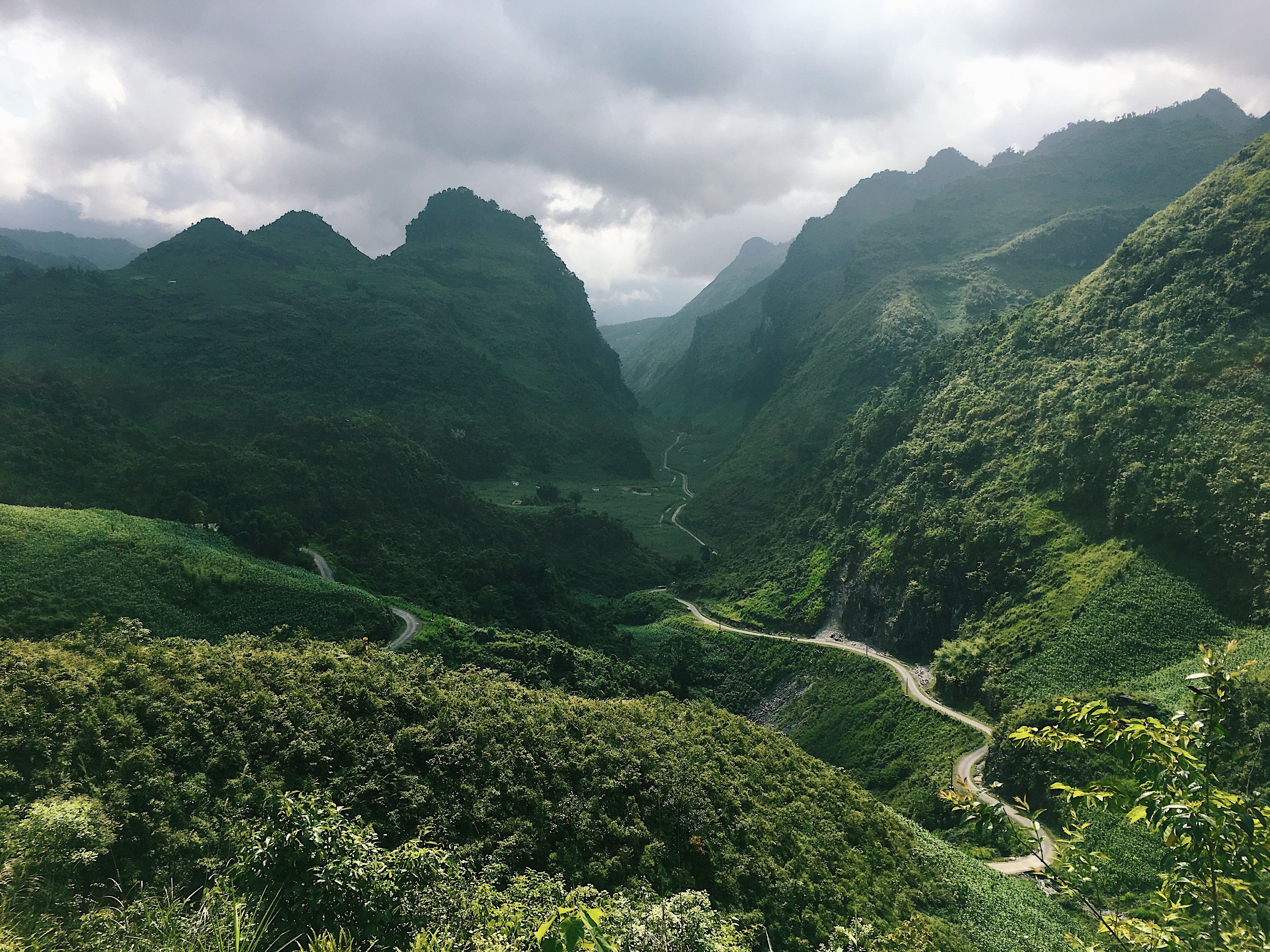 A picture of lush hill tops in Vietnam