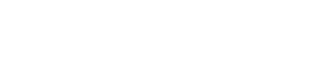 DealerVault