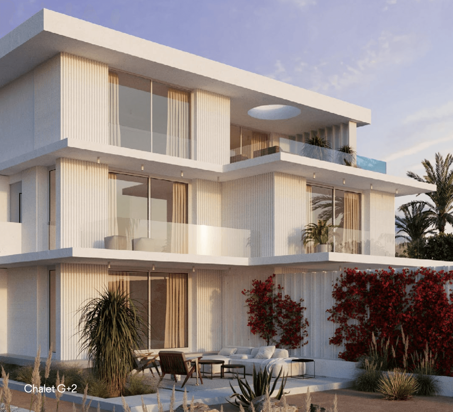 houses surrounded with plants