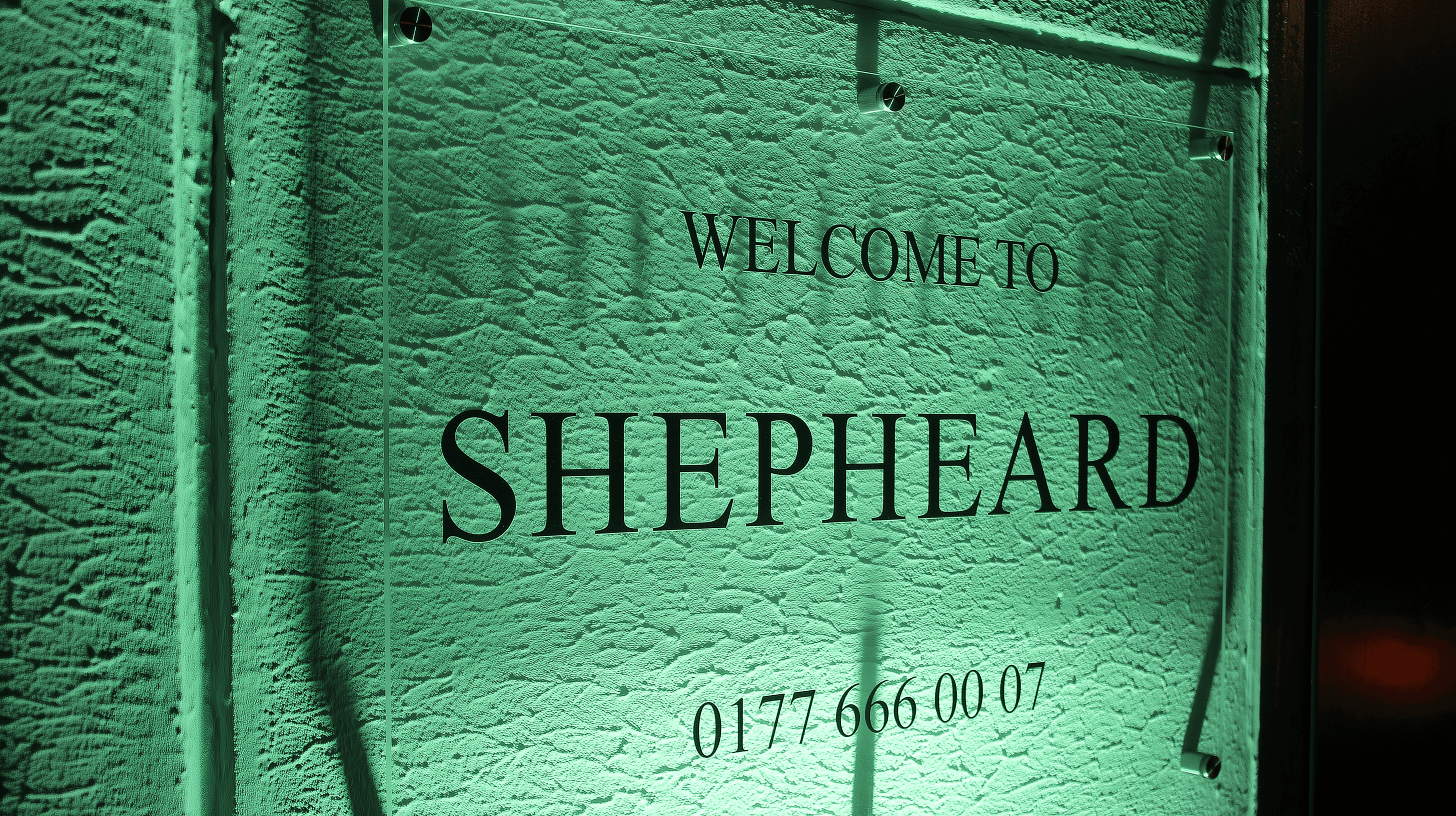 dish on white ceramic plate