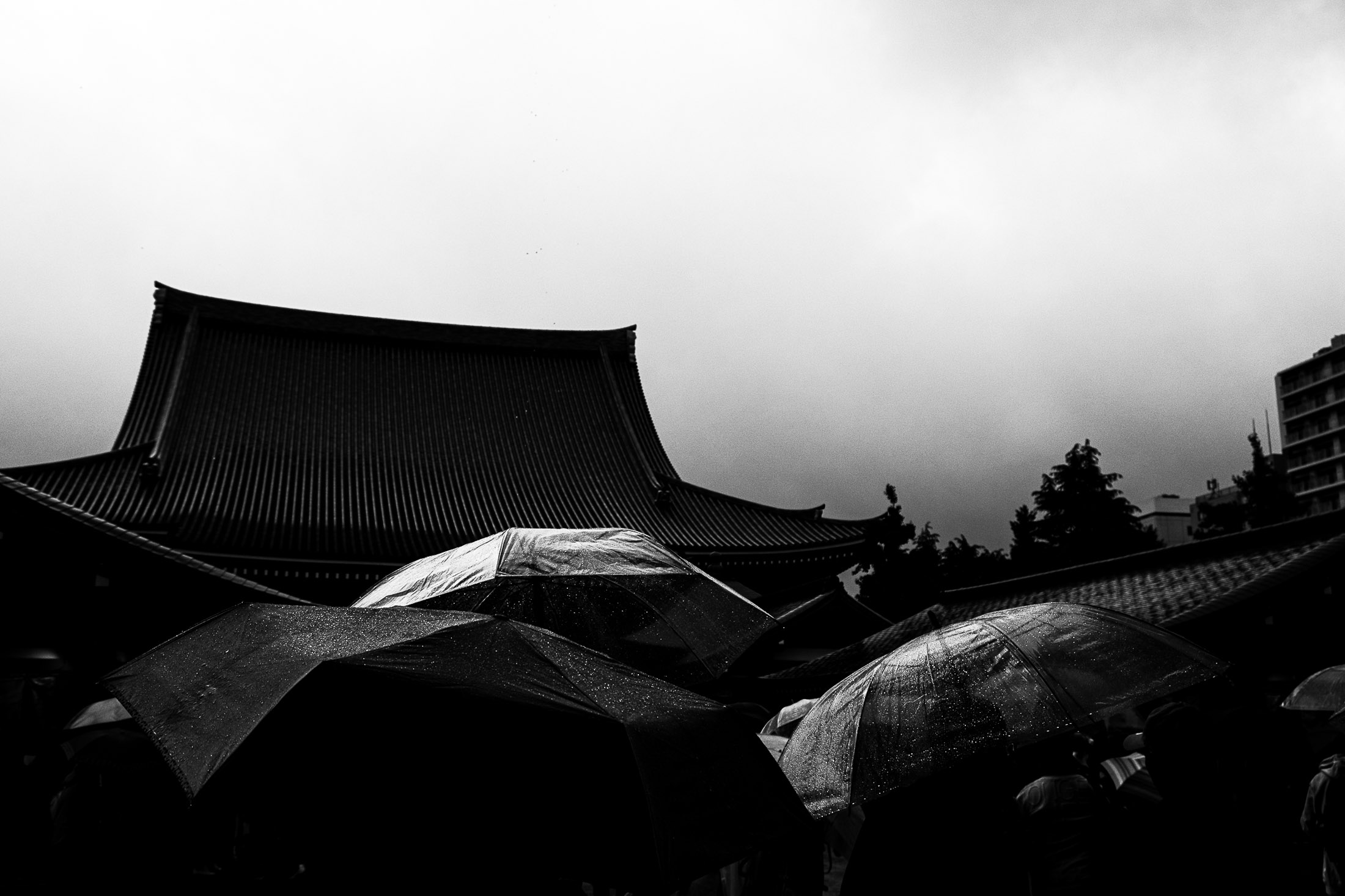Black and white photograph of umbrellas in the rain in front of a traditional Japanese temple under a dramatic sky