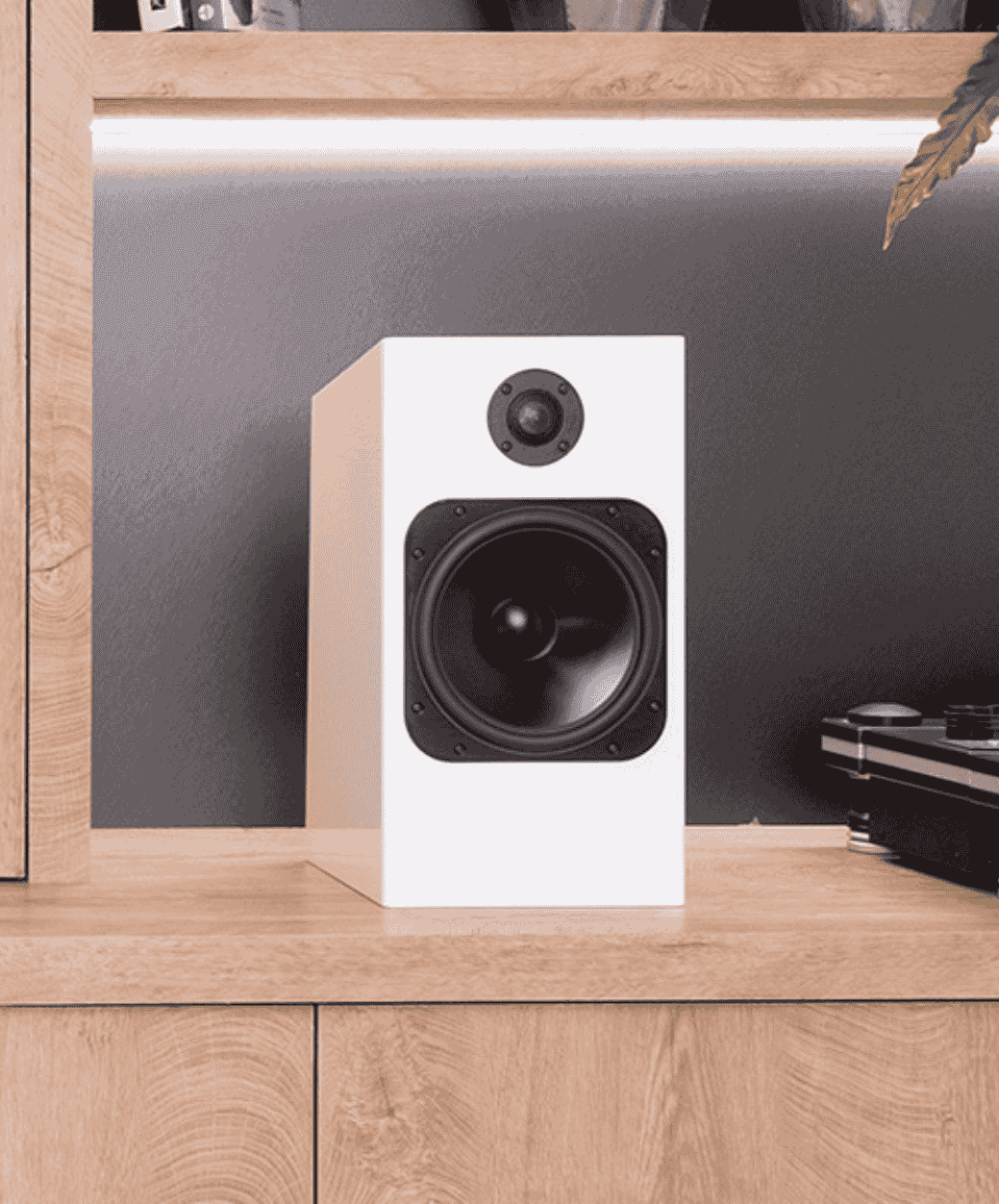 Totem Element Fire V2 Lifestyle - LE STUDIO HIFI