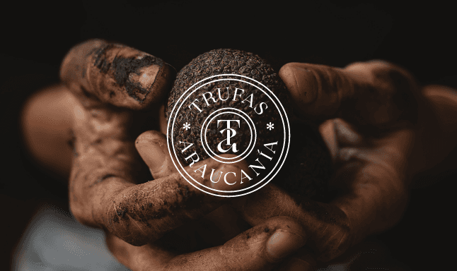 TRUFAS ARAUCANÍA Ecommerce Design and Development
