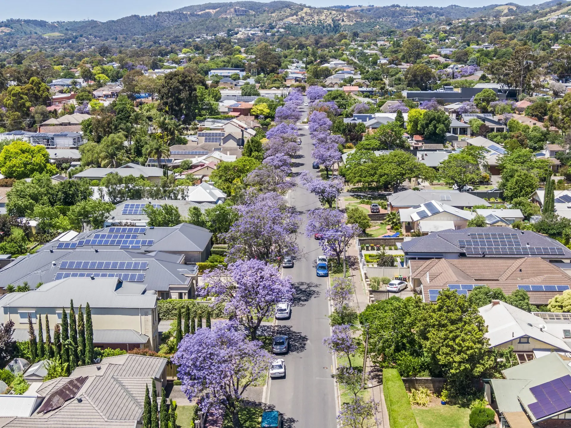 Adelaide Property Image