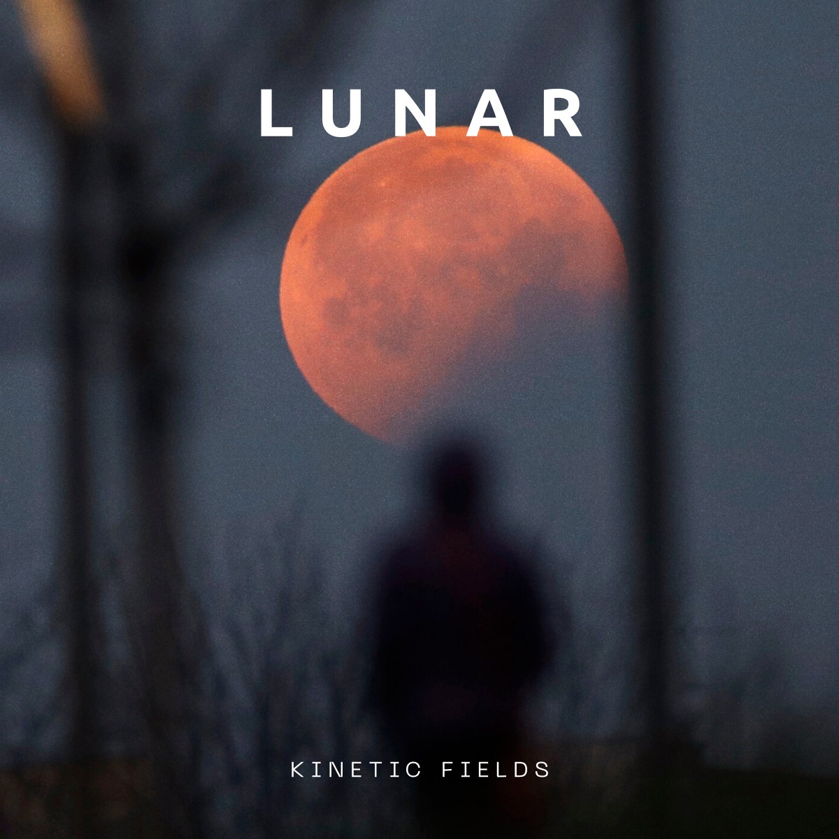 A close-up of a hand wearing multiple decorative rings against a blue background.