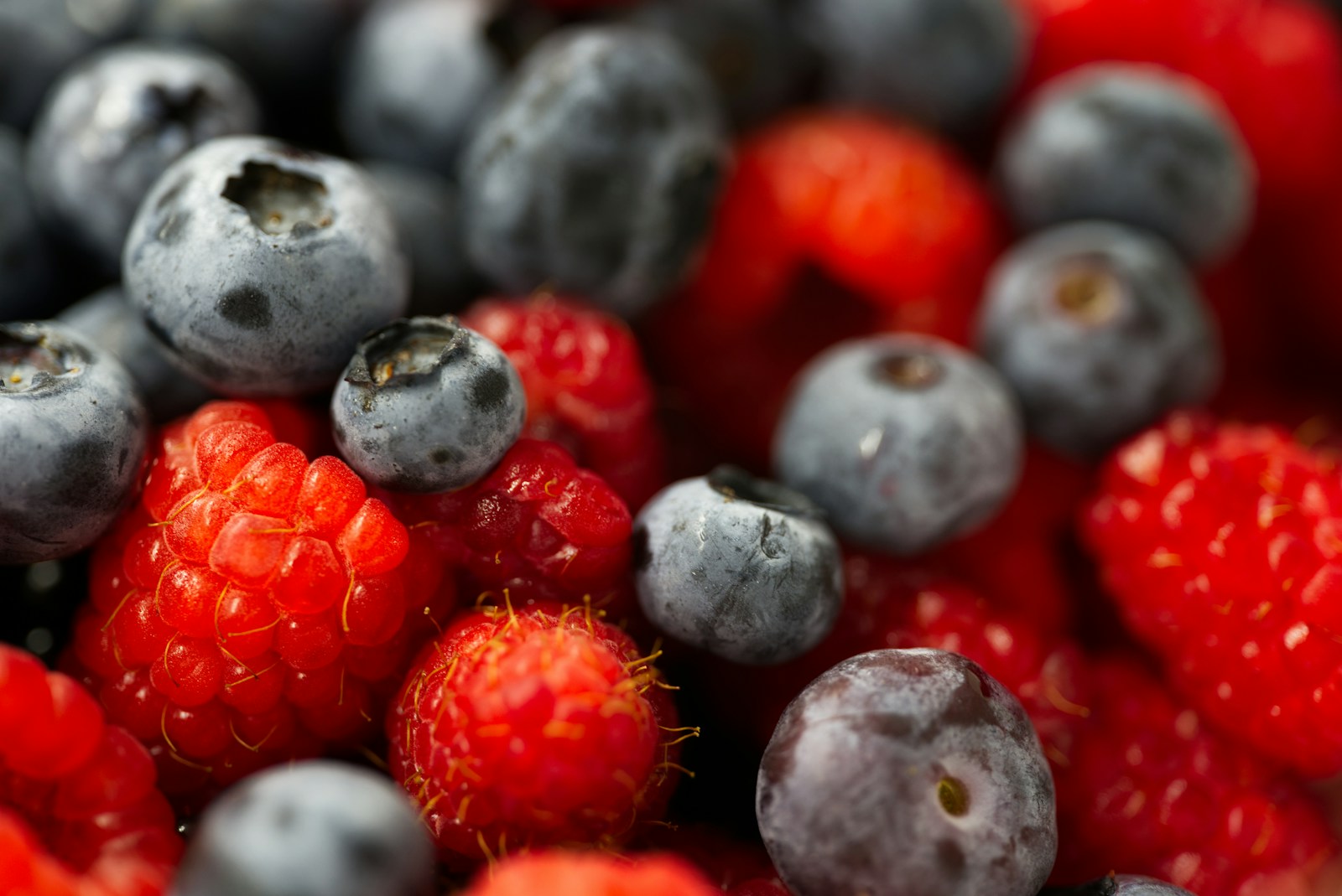 A close-up bowl of blueberries and raspberries, antioxidant-rich berries that help protect egg quality.