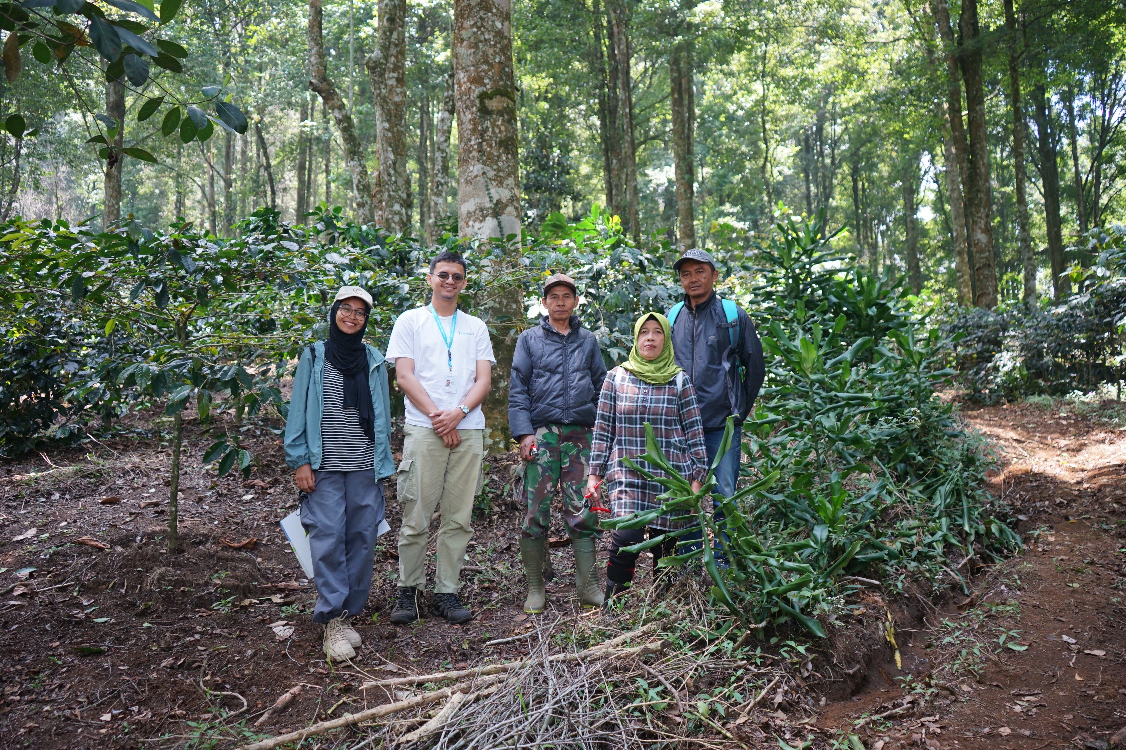 Sustainable and Value Added in Agricultural Supply Chains in Indonesia (SASCI+): Strengthening Sustainable Coffee Value Chains in West Java