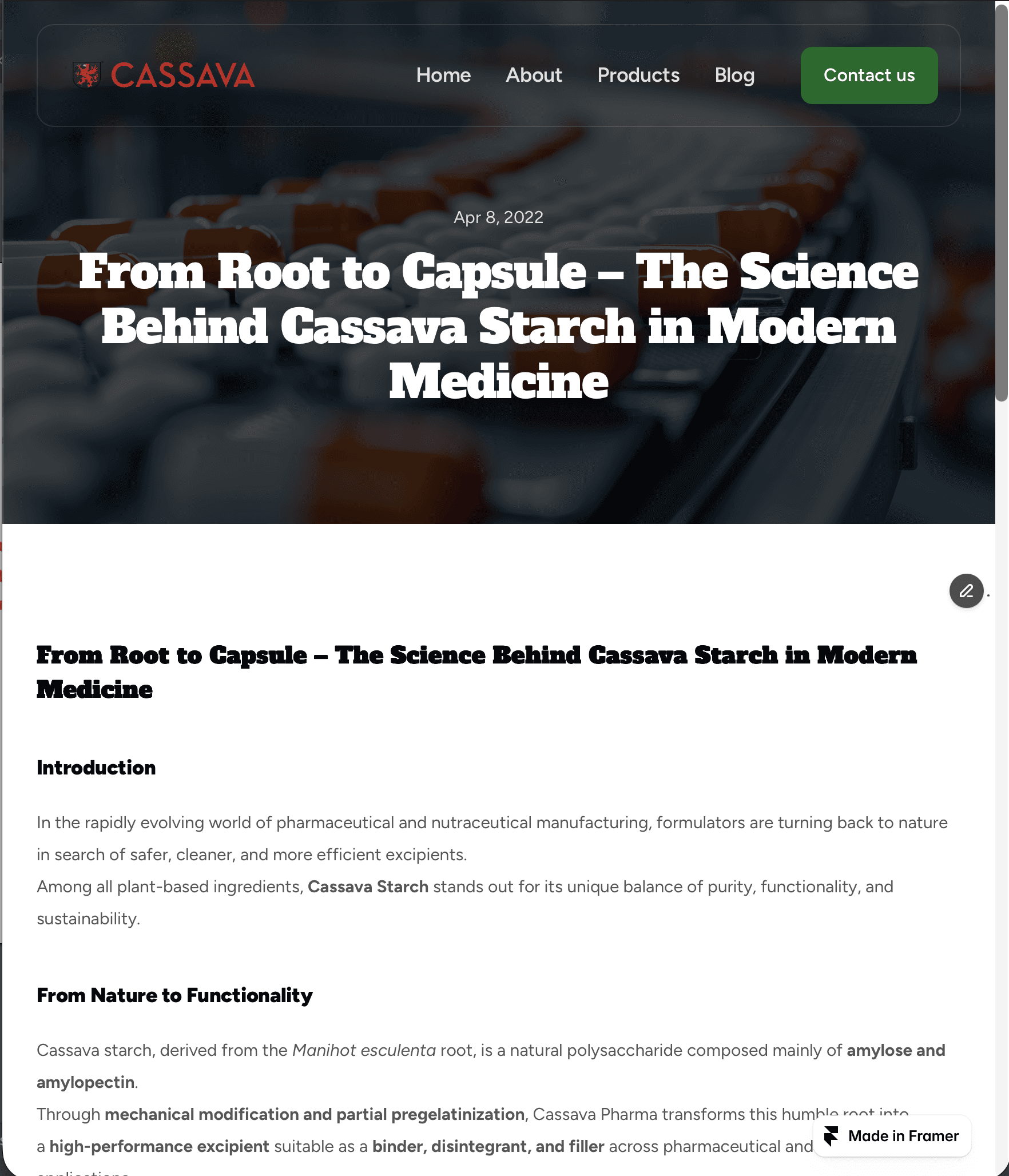 Woman Look Into The Camera