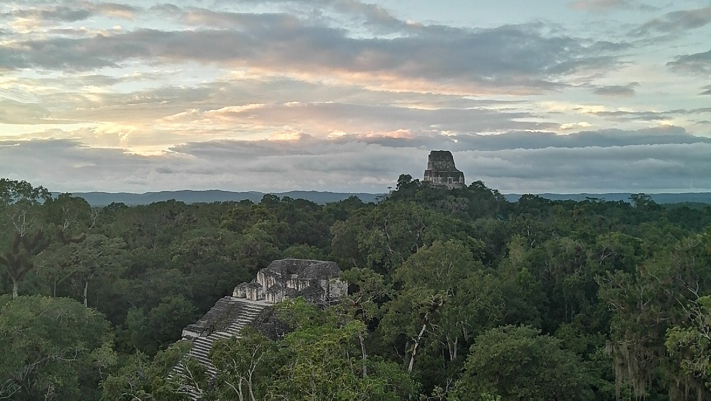 Ruinas mayas elevándose por encima de un denso dosel de selva al anochecer.