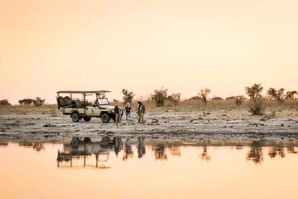 Safari Horizon