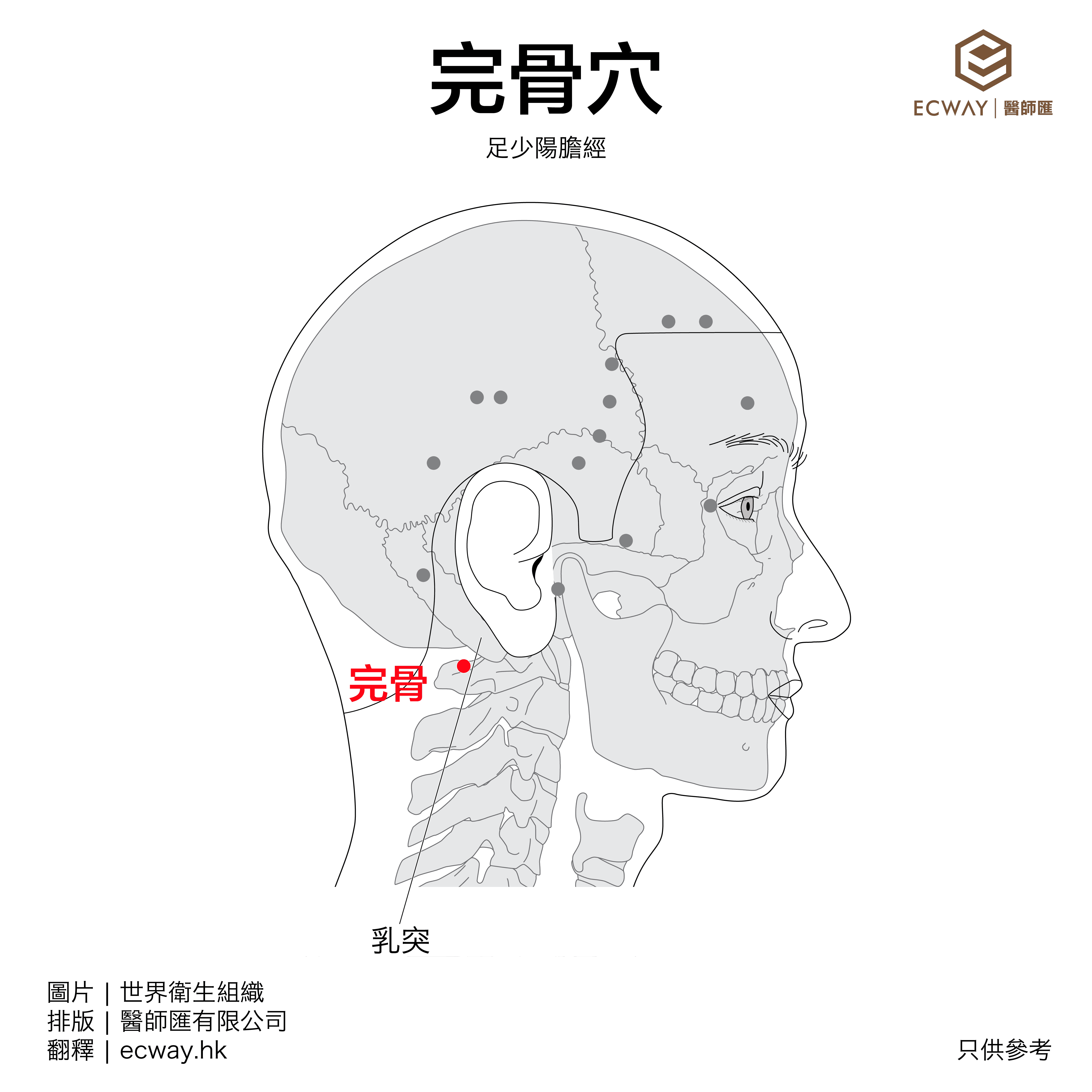 完骨穴