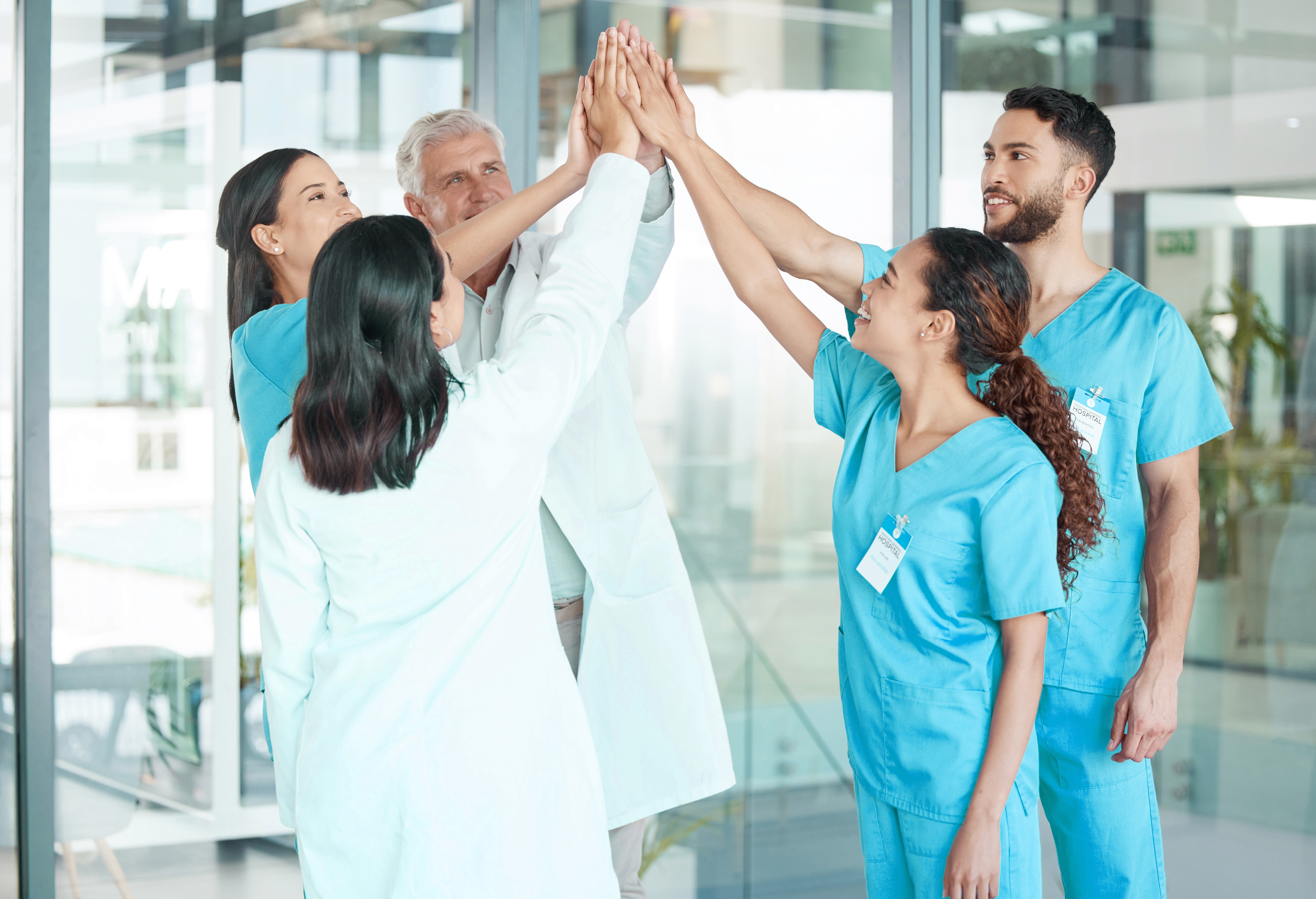 Development & Execution