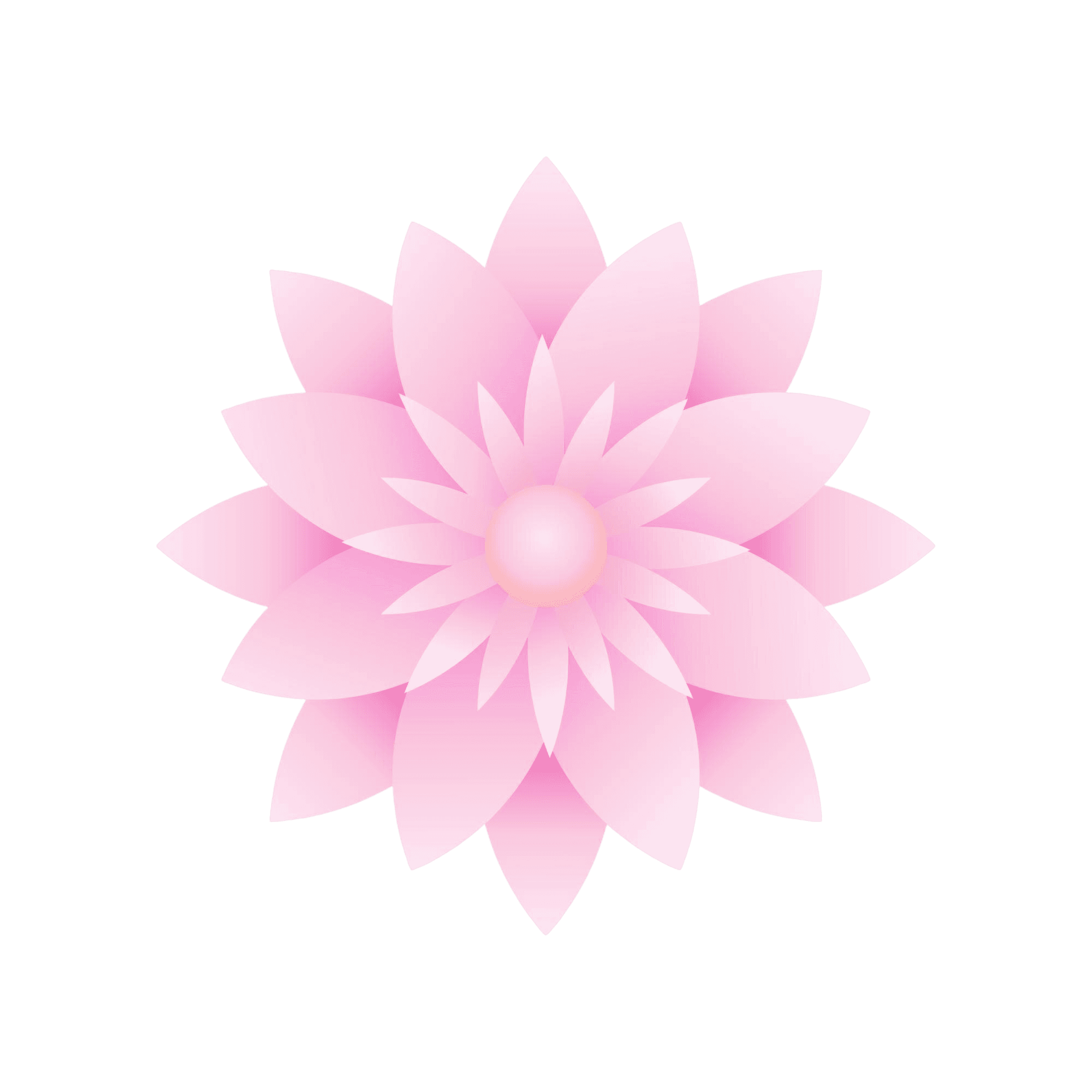 Lotus Flower