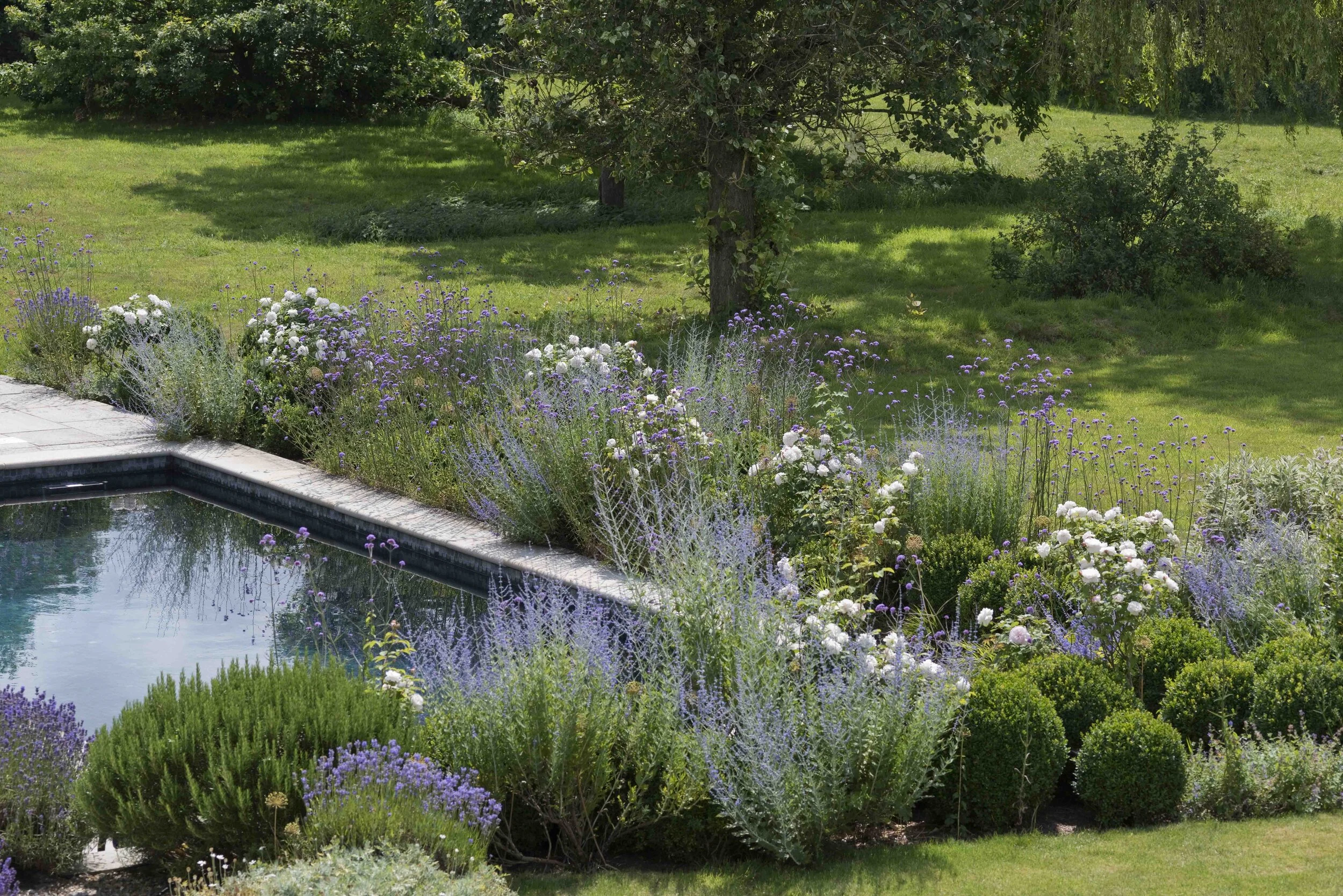 A serene garden scene featuring lush greenery, flowering plants, and a reflecting pool under gentle sunlight.