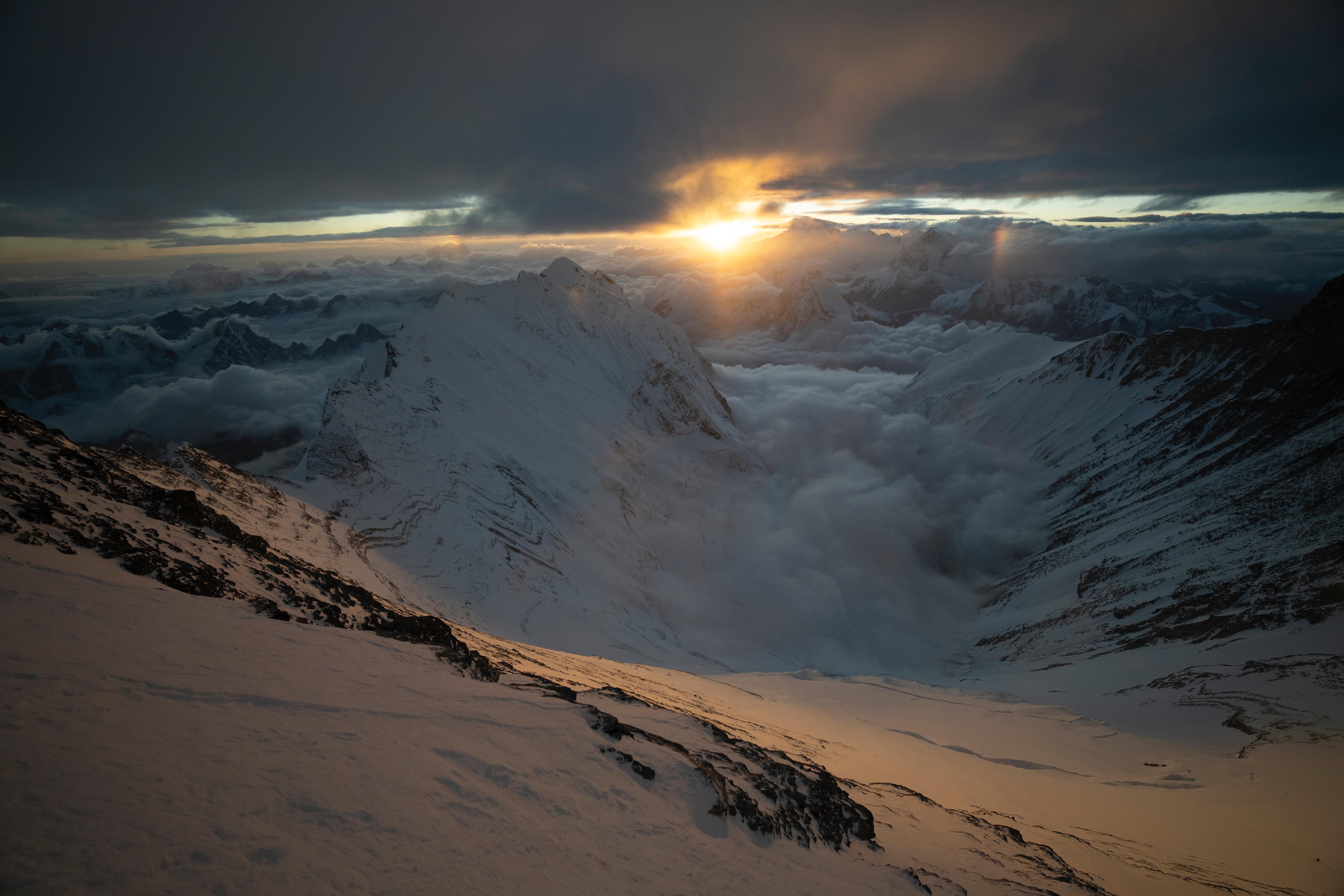 A woman seated on the forest floor among tall trees.