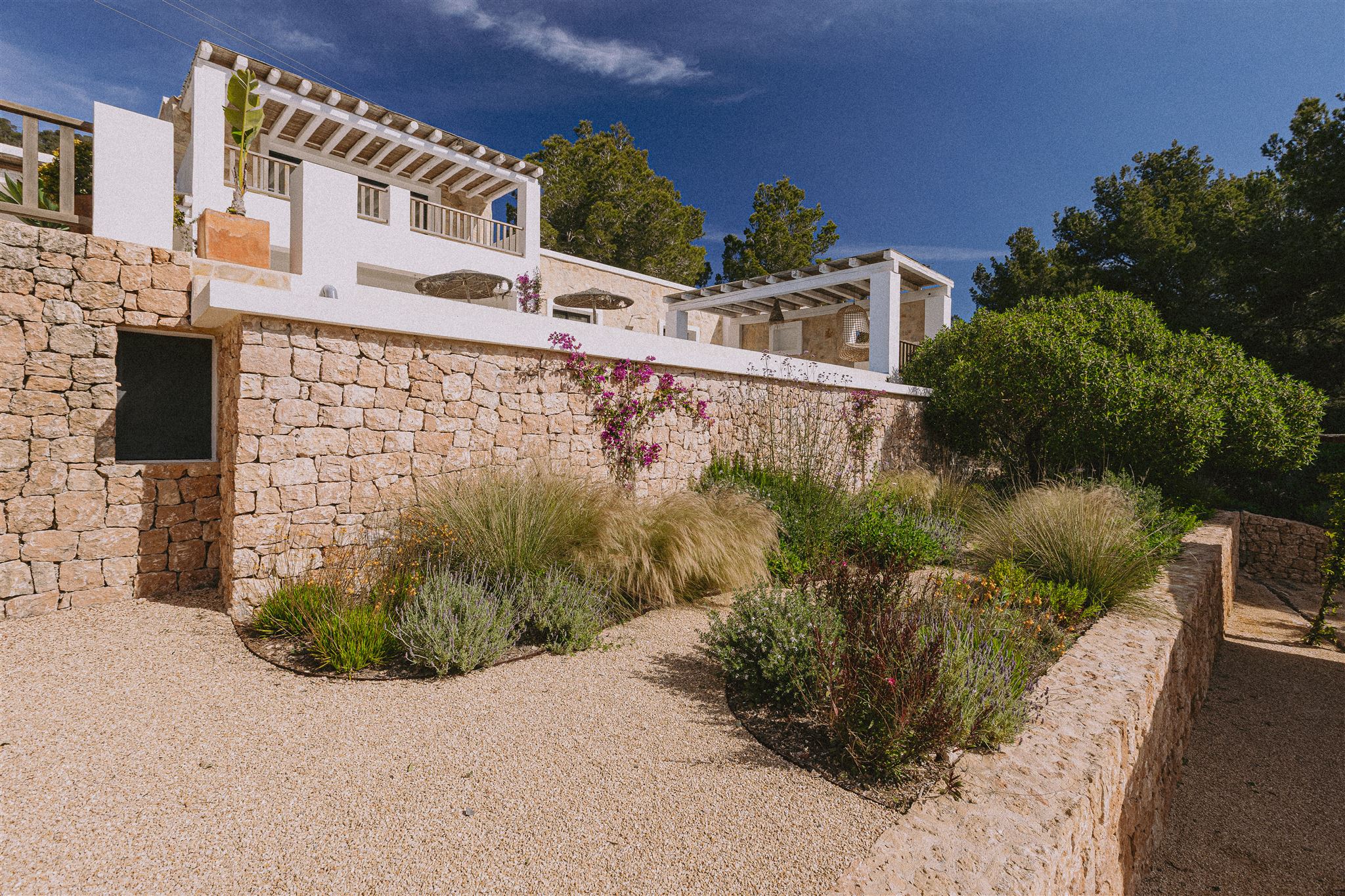 Regenerative landscaping with biodiversity and native plants
