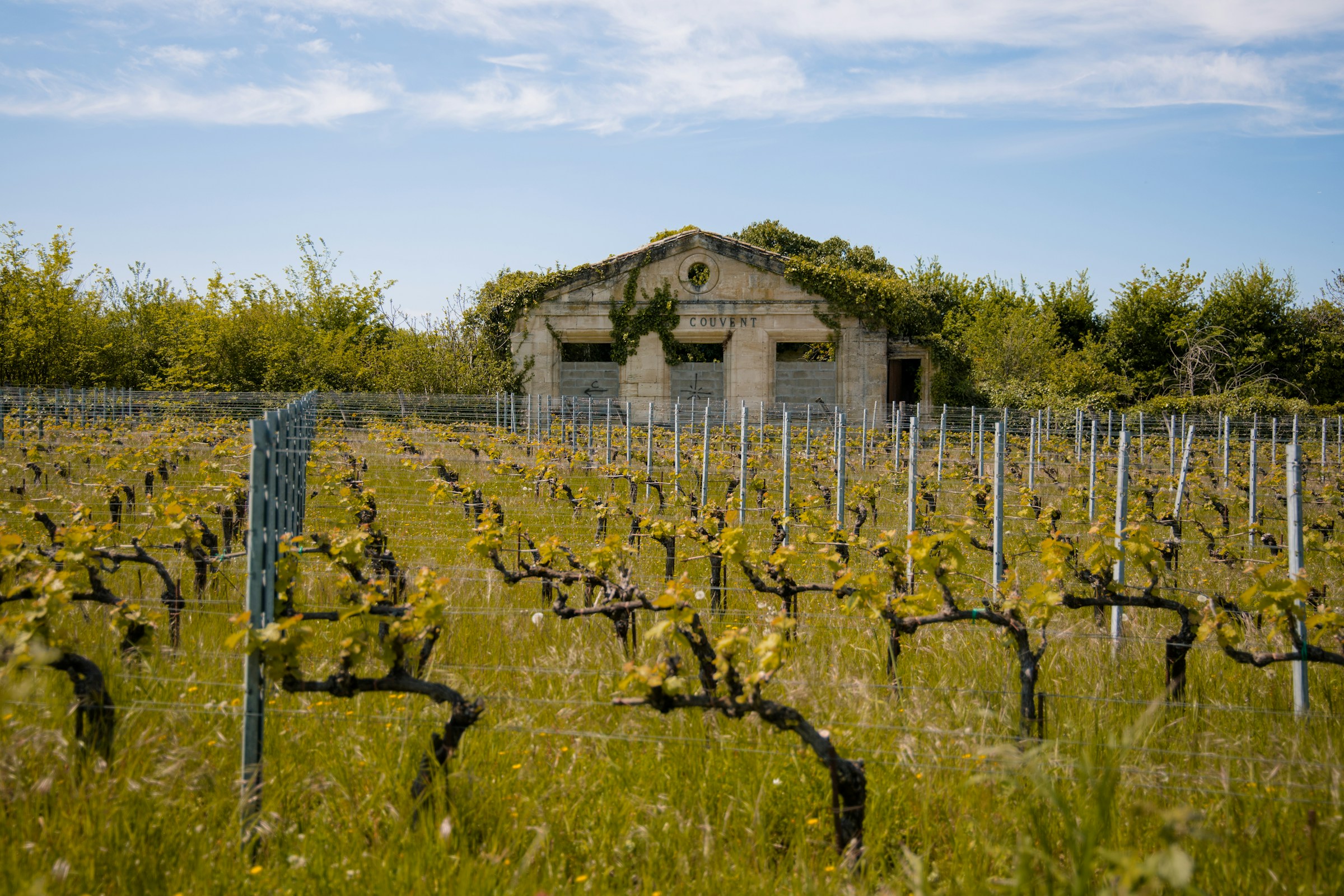 Vin och egendomar i Bordeaux