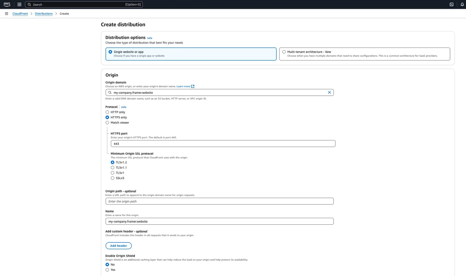 Origin Domain에 Framer 서브도메인을 입력합니다.