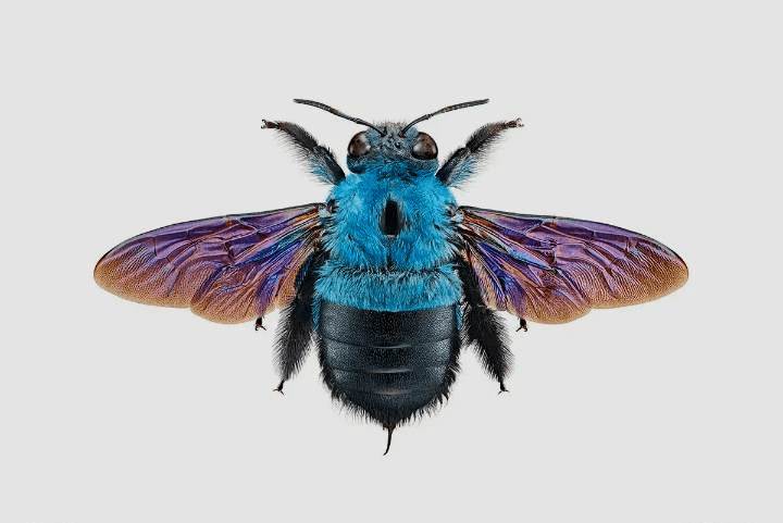A close-up of a pink cocktail in a martini glass, set against a nighttime background with soft, blurred colors.