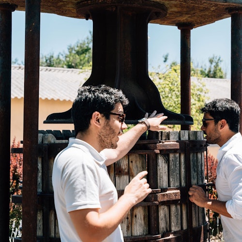 Toledo: vođena tura gradom i vinarijom iz Madrida + degustacija vina u Madridu