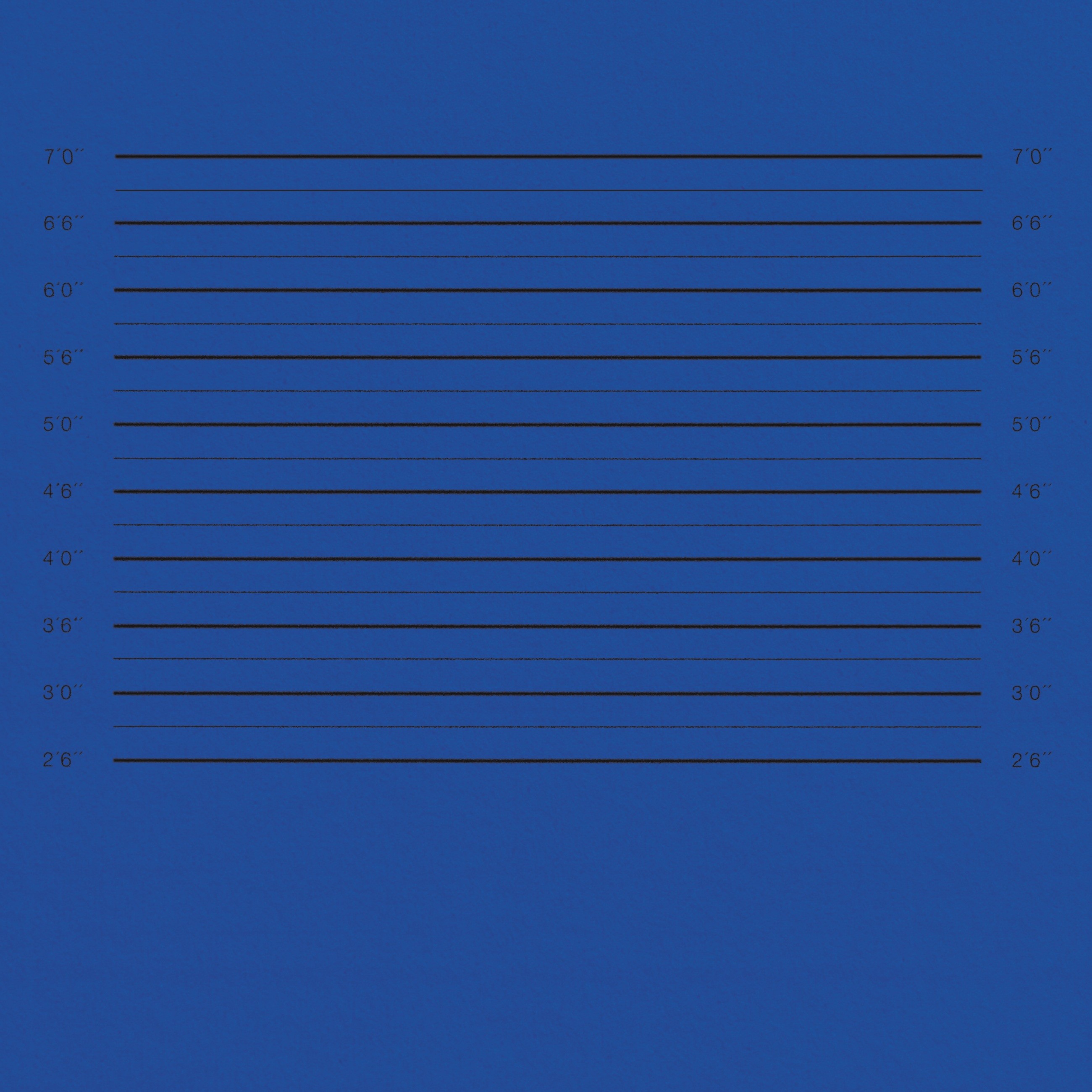 Blue CHIMI photowall with black height measurement lines
